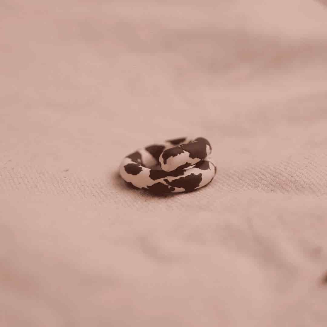 Anillo Isa Cow Print - miniatura 2