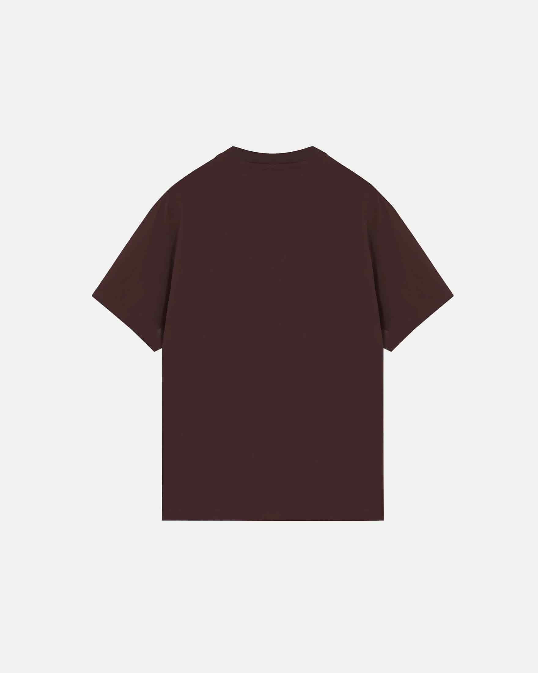 Basics Tiny Logo Regular Fit Tshirt Brown - miniatura 3