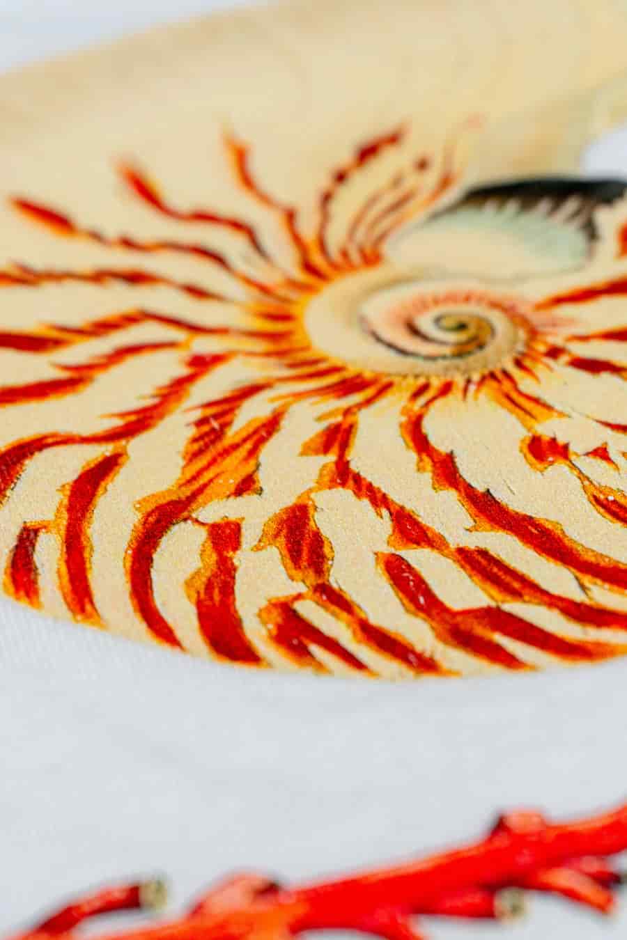 Men's cotton t-shirt white aronnax - miniatura 3