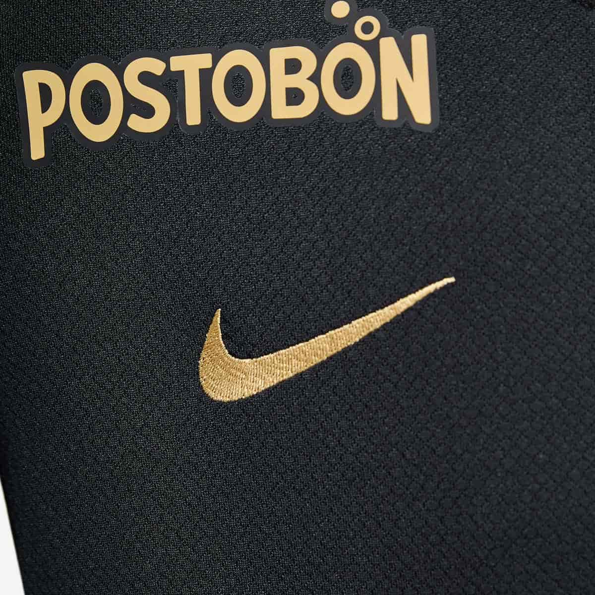 CAMISETA ALTERNA HOMBRE NIKE 2025 - miniatura 9