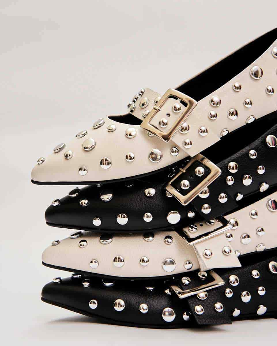 POINTER FLATS BLACK - miniatura 8