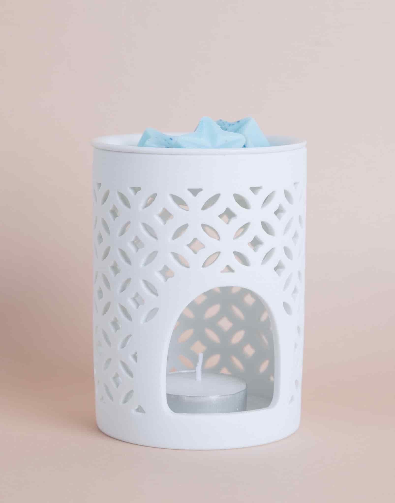 KIT WAX MELTS (Aromatiza tus espacios de forma intensa y rápida) - miniatura 1