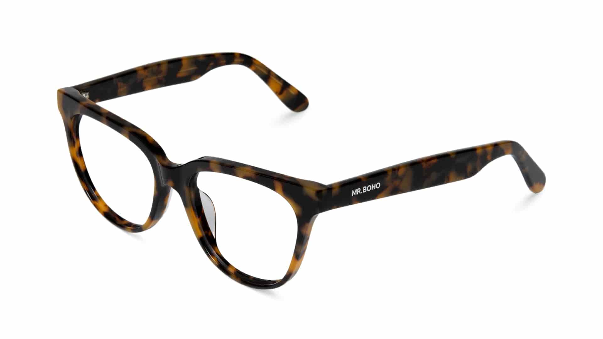 HC TORTOISE  BARRY - miniatura 2