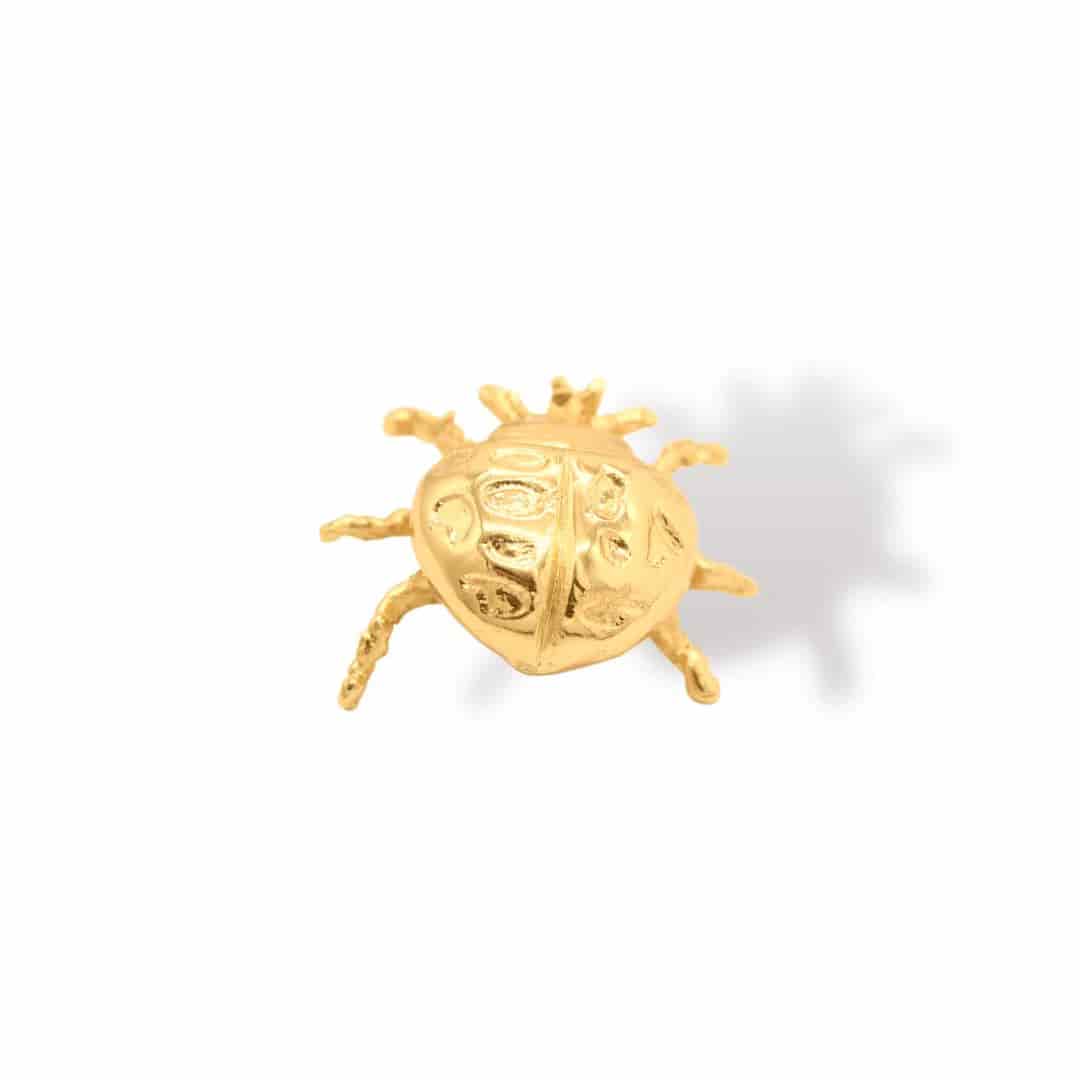 Pin de mariquita grande - miniatura 2
