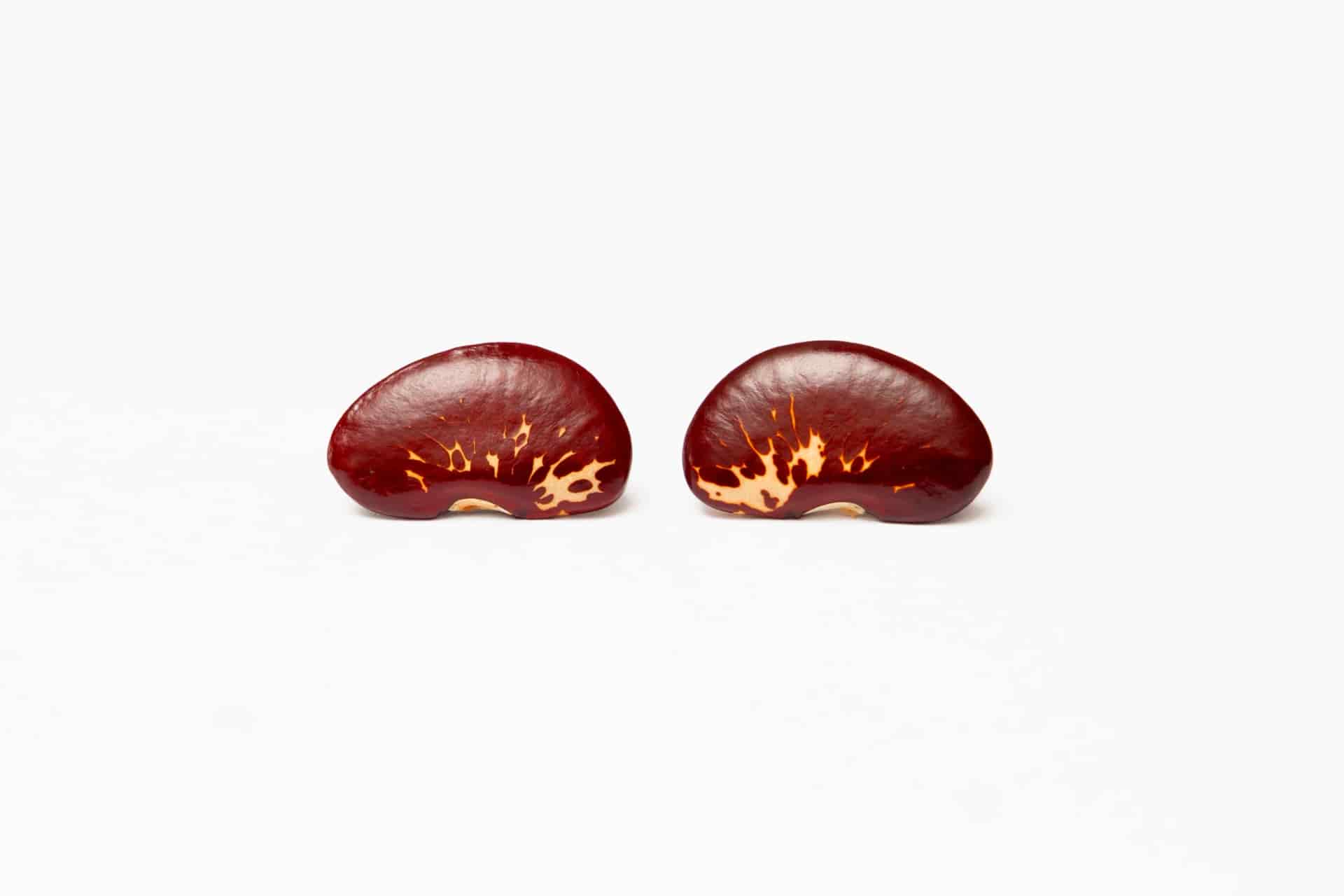 Topo Fríjol Rojo - miniatura 2