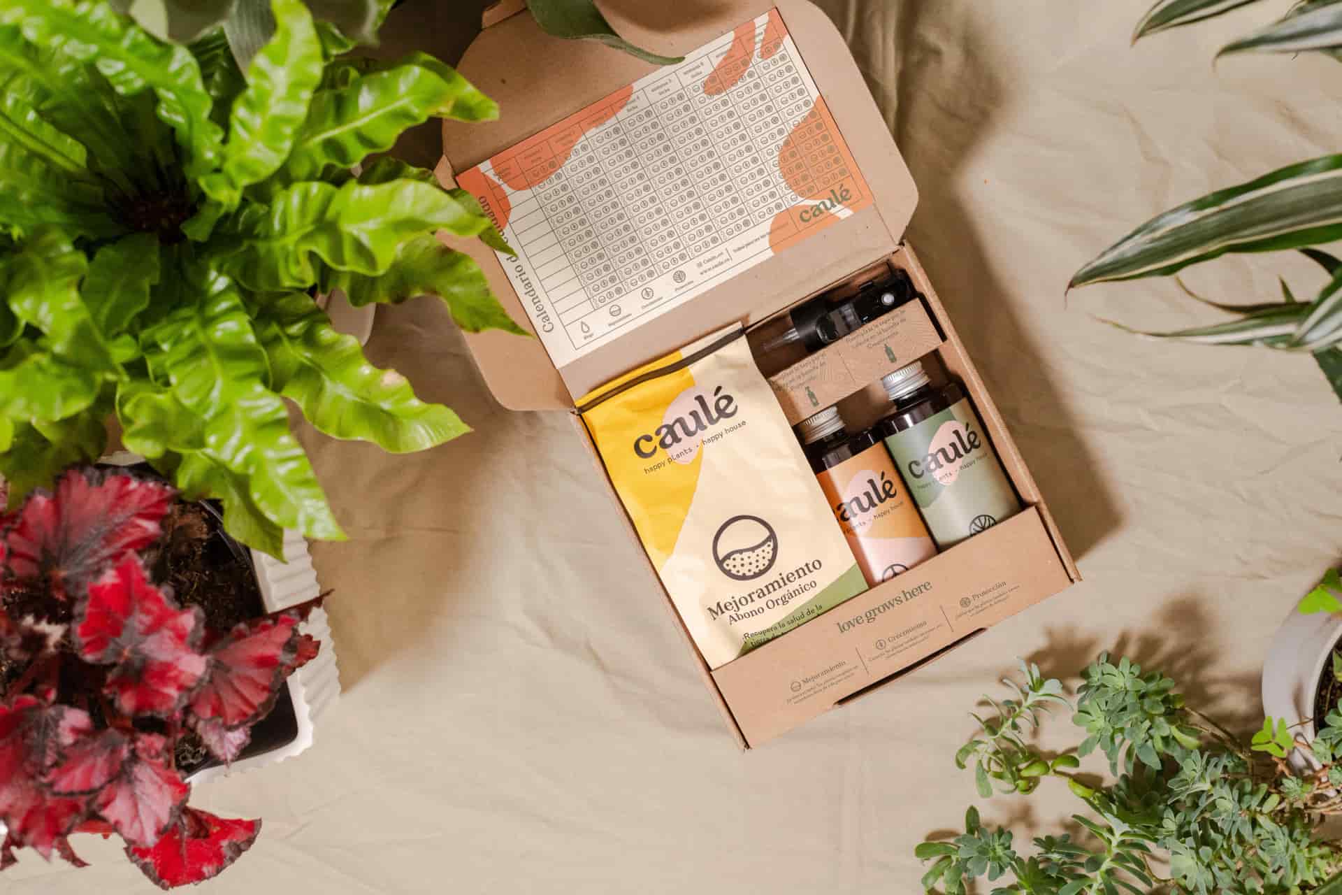 Kit - Plant Parent - Cuidado Completo - miniatura 3