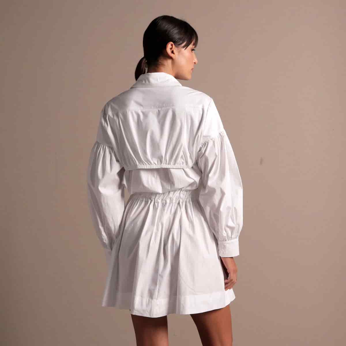 Ref. 241 - miniatura 15