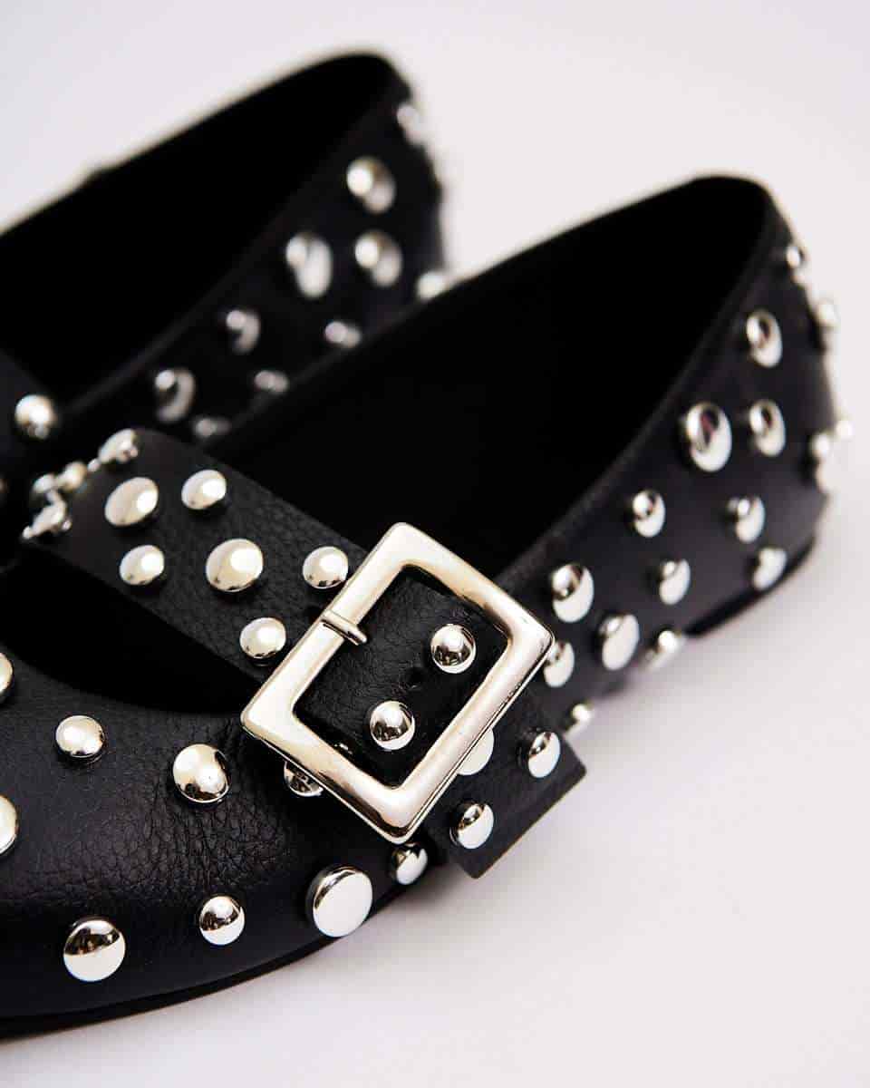 POINTER FLATS BLACK - miniatura 4