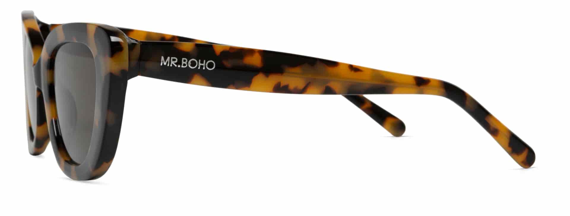 HC TORTOISE CAPARICA  WITH CLASSICAL LENSES - miniatura 3