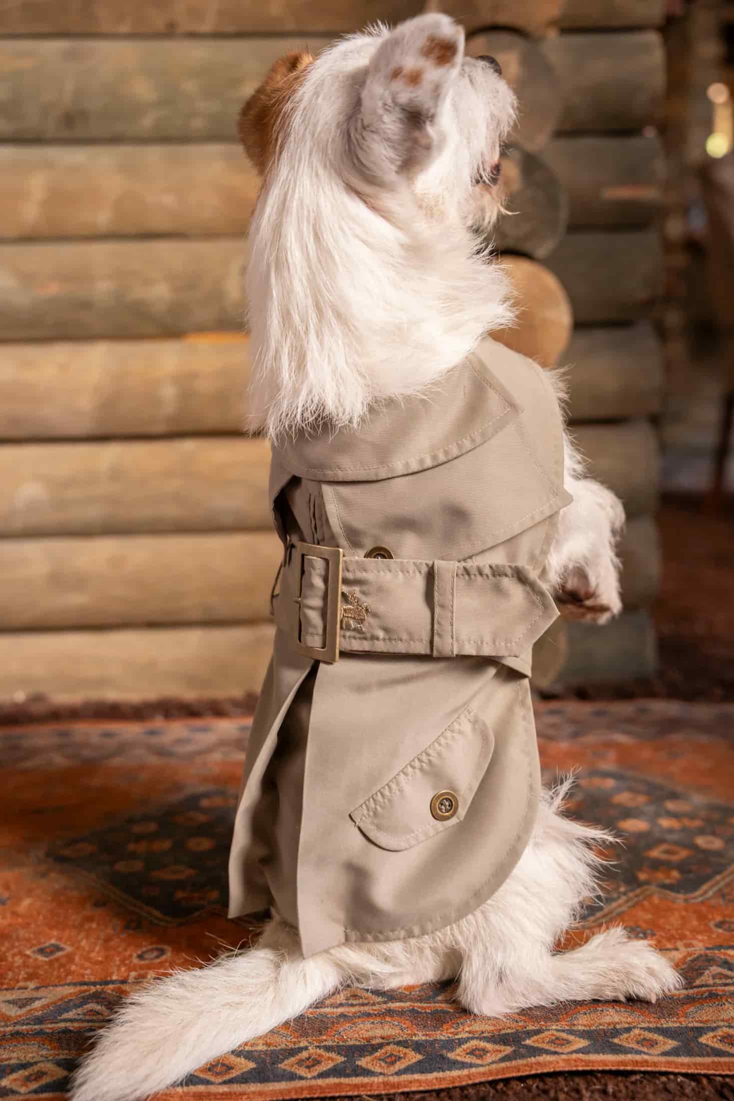 Trench Perro Beige Oscuro - miniatura 14