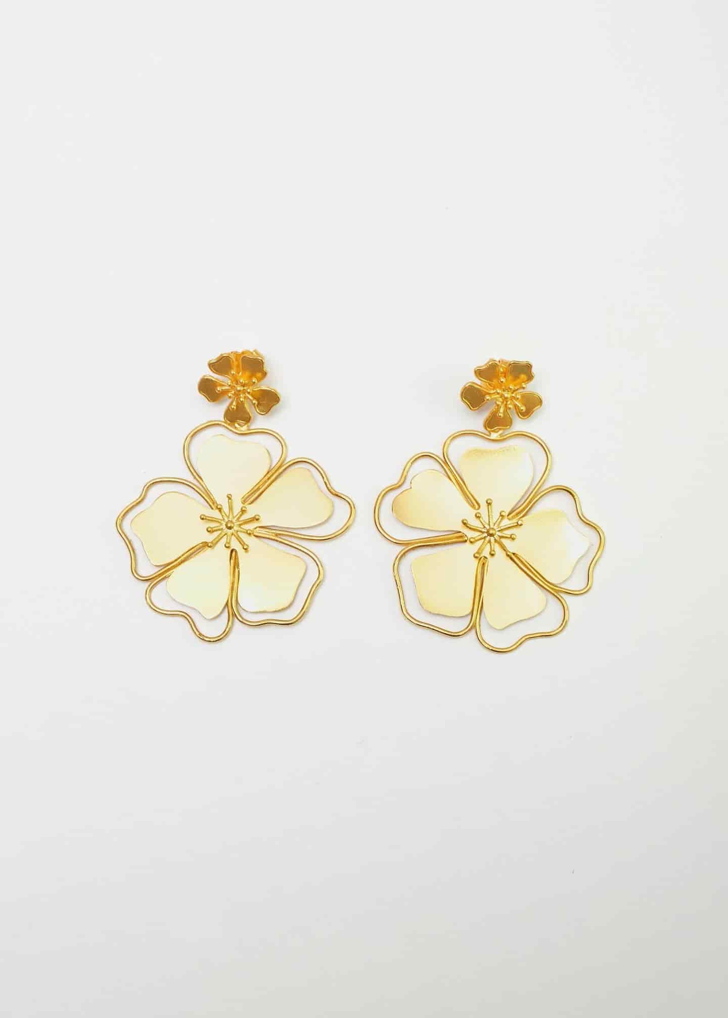 Aretes Andreae - miniatura 5