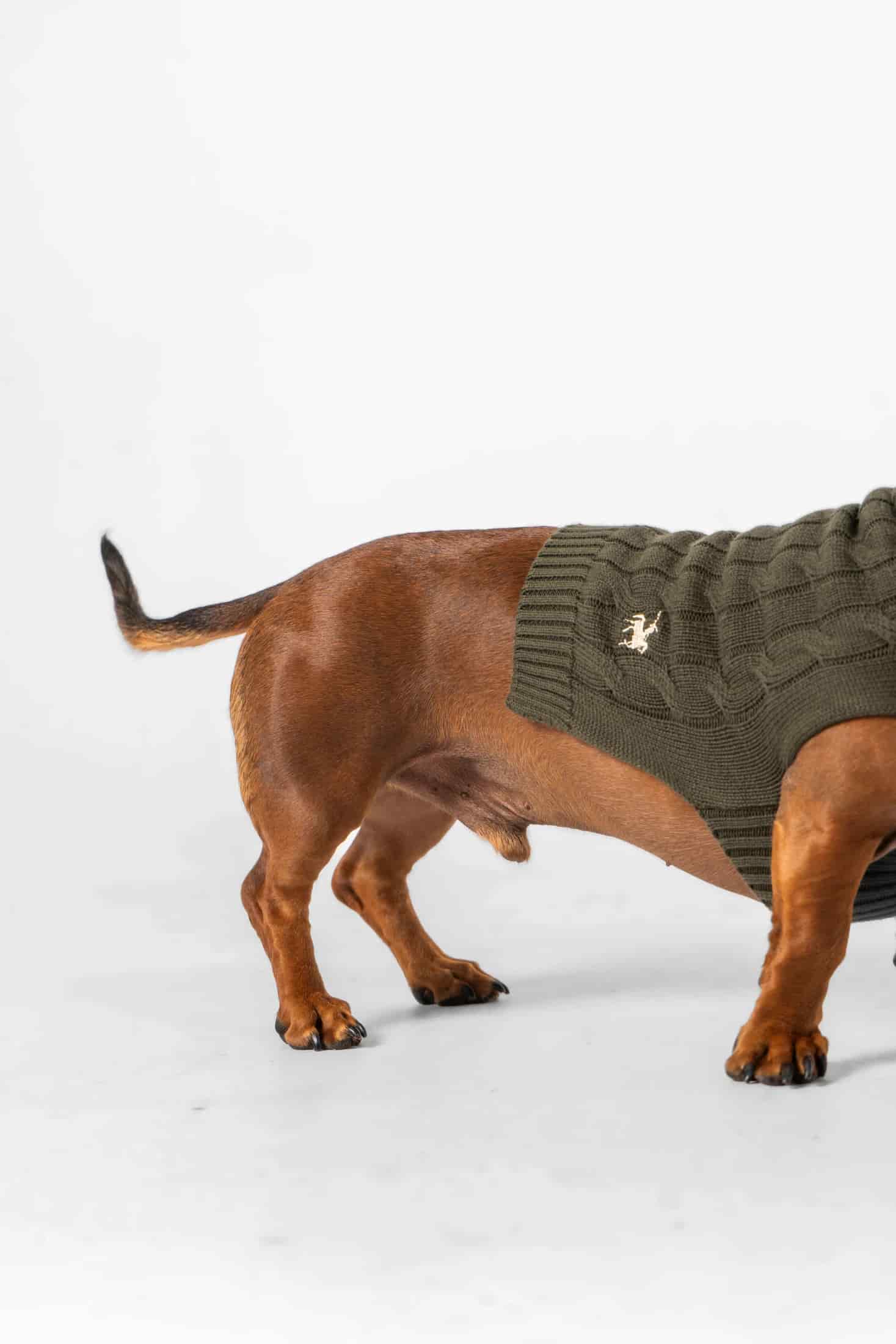 Suéter Perros Verde - miniatura 9