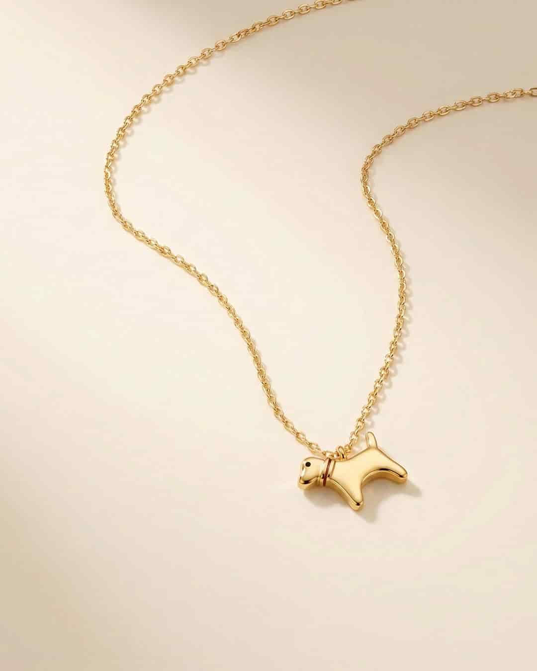 Collar Perro - miniatura 3
