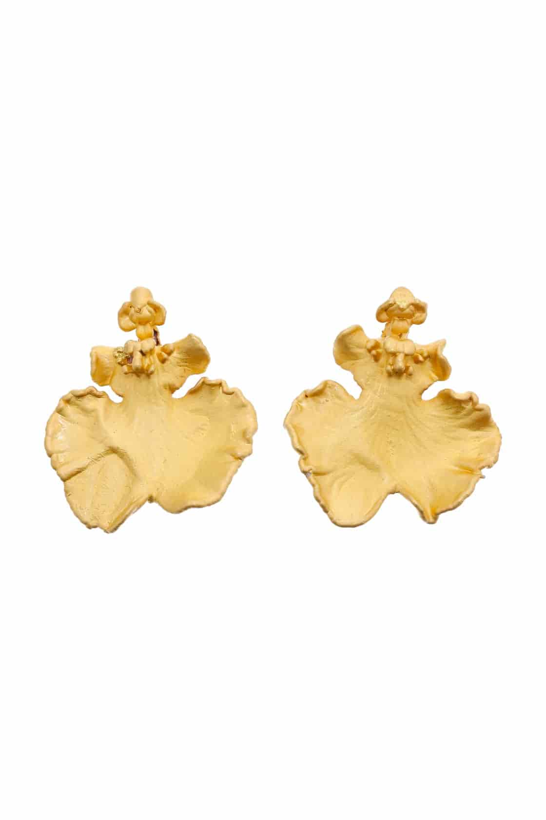 ONCIDIUM STUDS - miniatura 1
