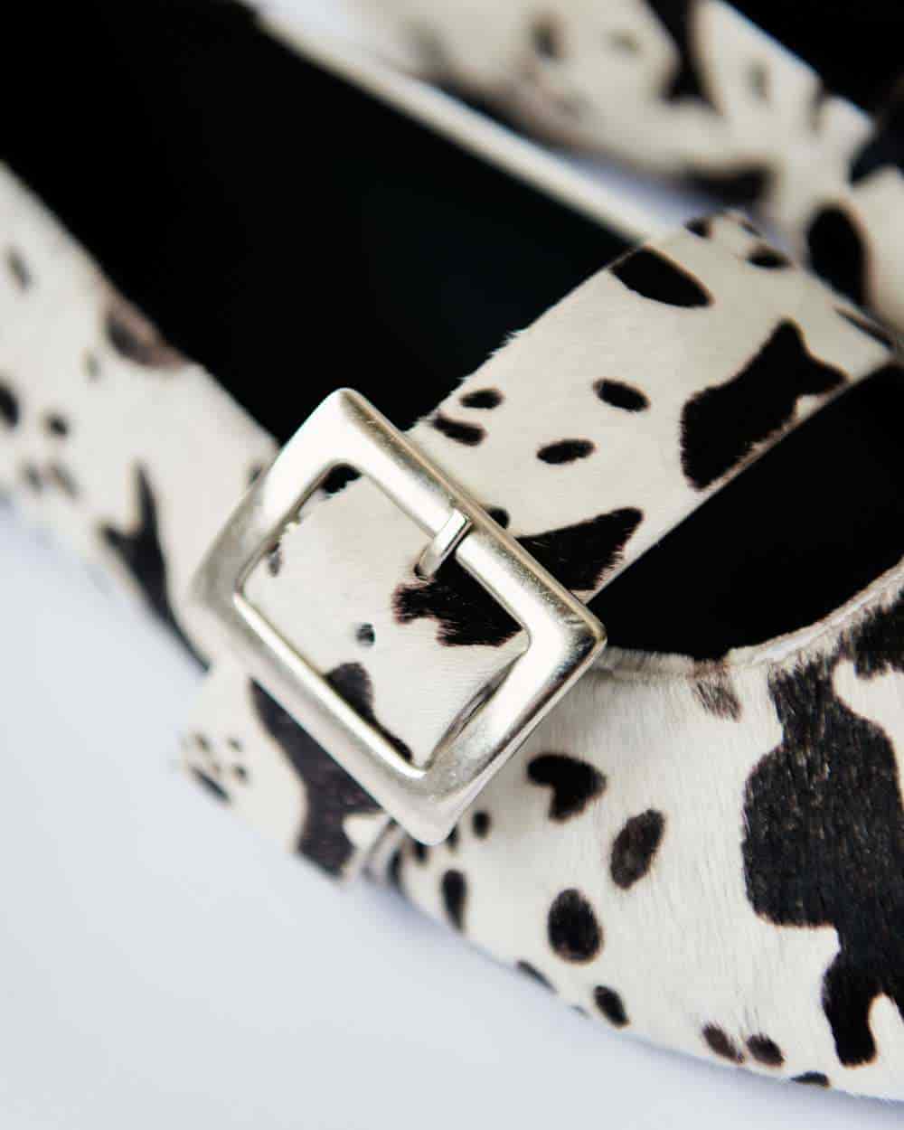 COW POINTER FLATS - miniatura 4