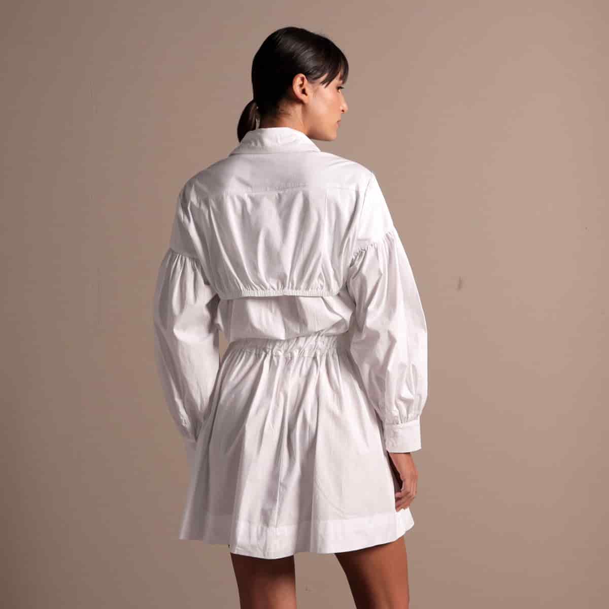 Ref. 241 - miniatura 10