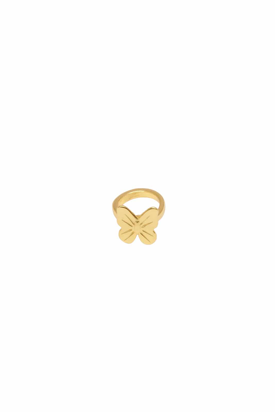 Baby flight Ring - miniatura 1