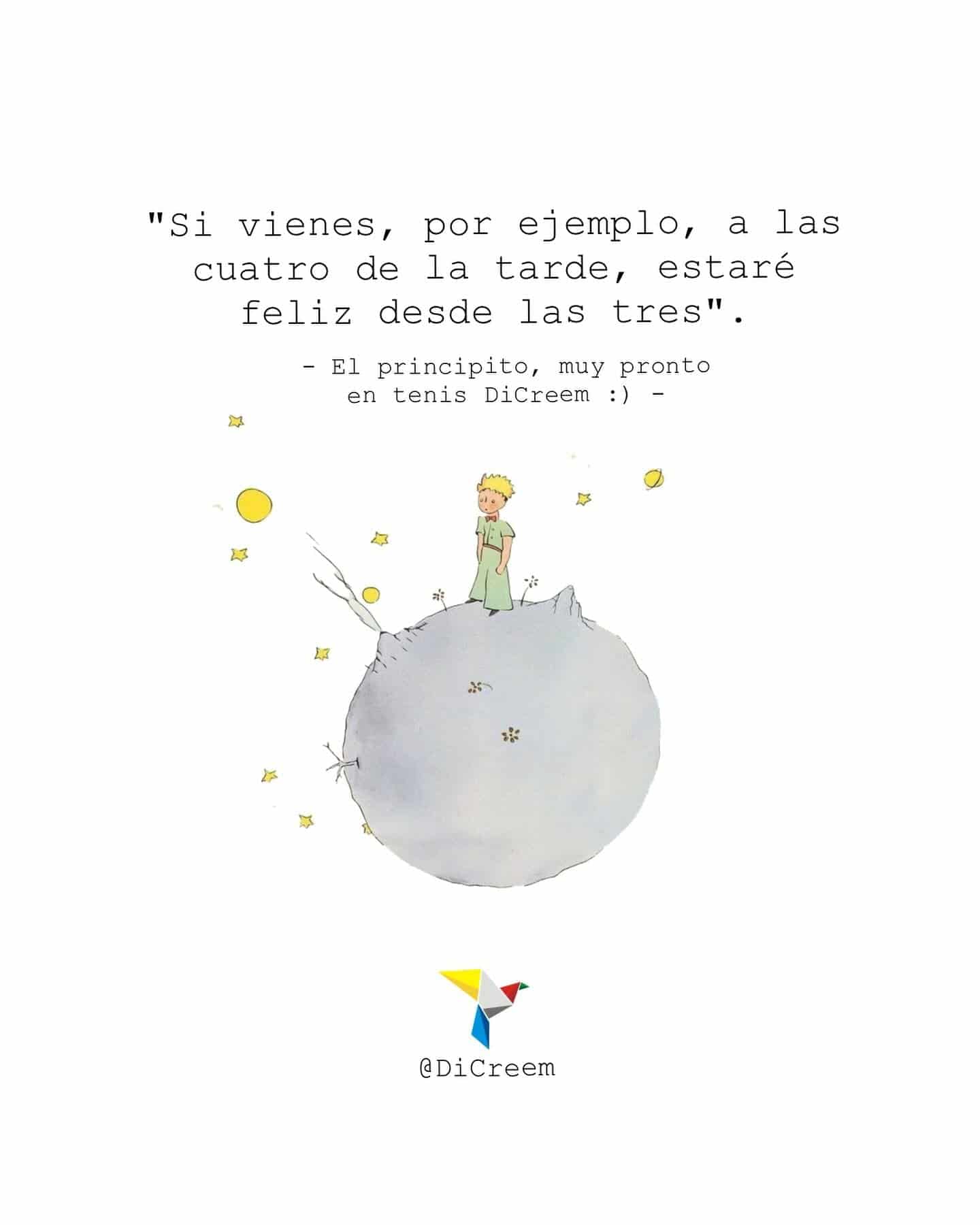 Principito y el planeta – Tenis CÓNDOR - miniatura 11