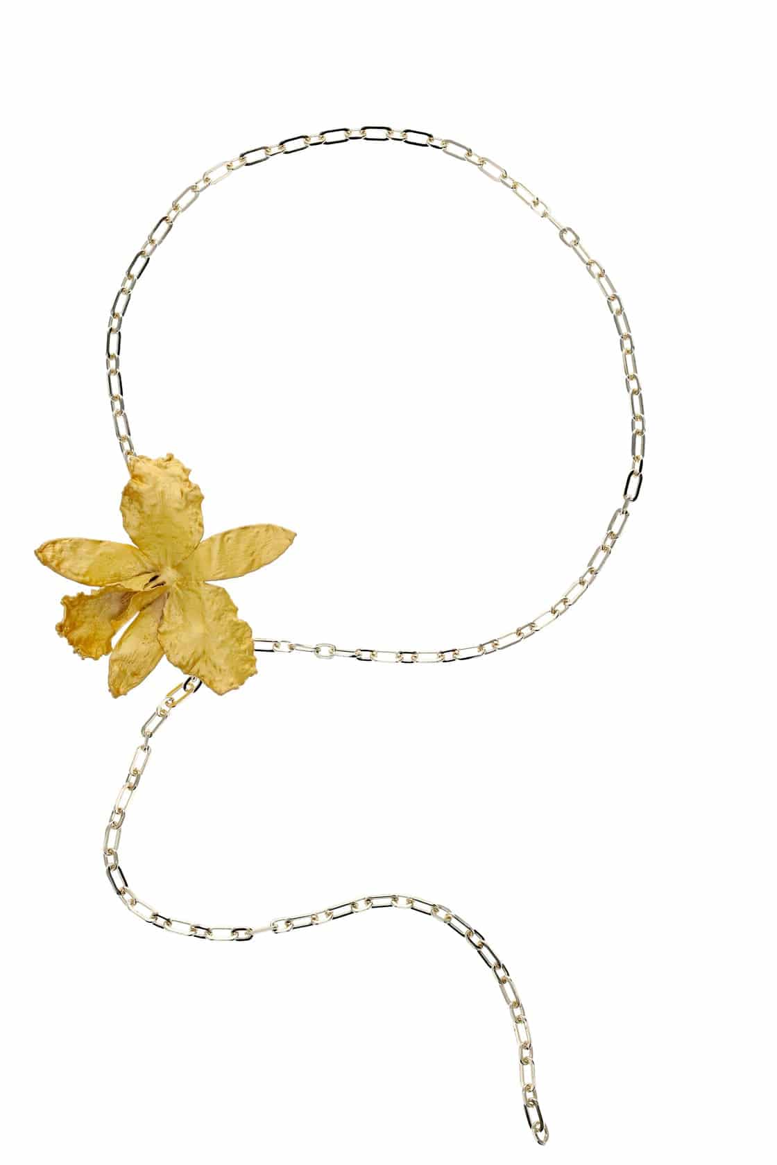 CATTLEYA BELT - miniatura 3