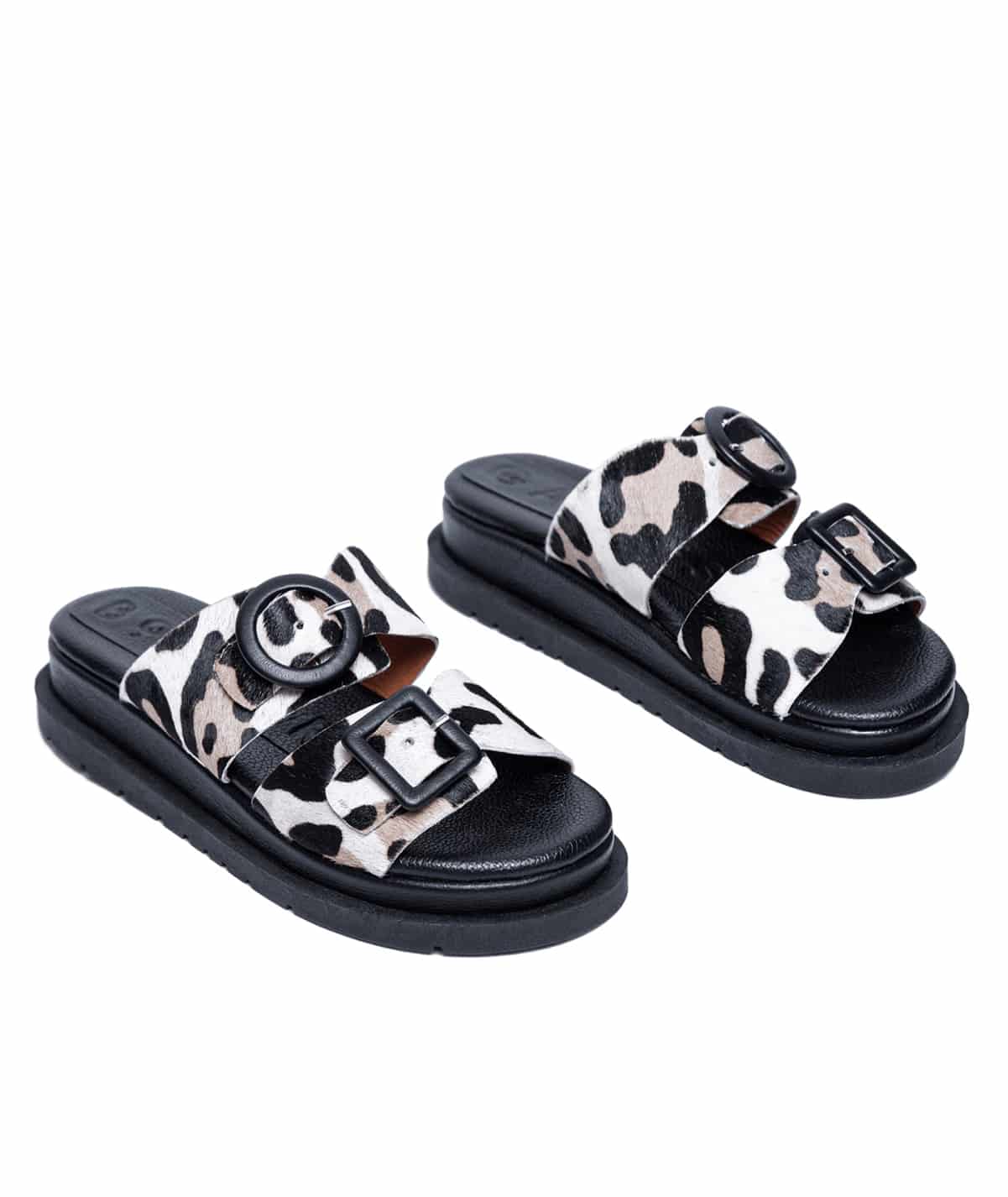 Allegra Leopardo - miniatura 3