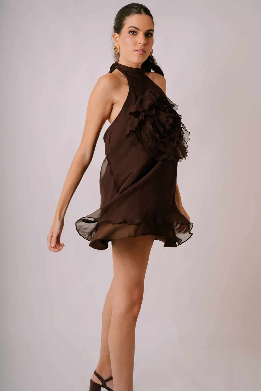 Carolina Chiffon Dress - miniatura 2
