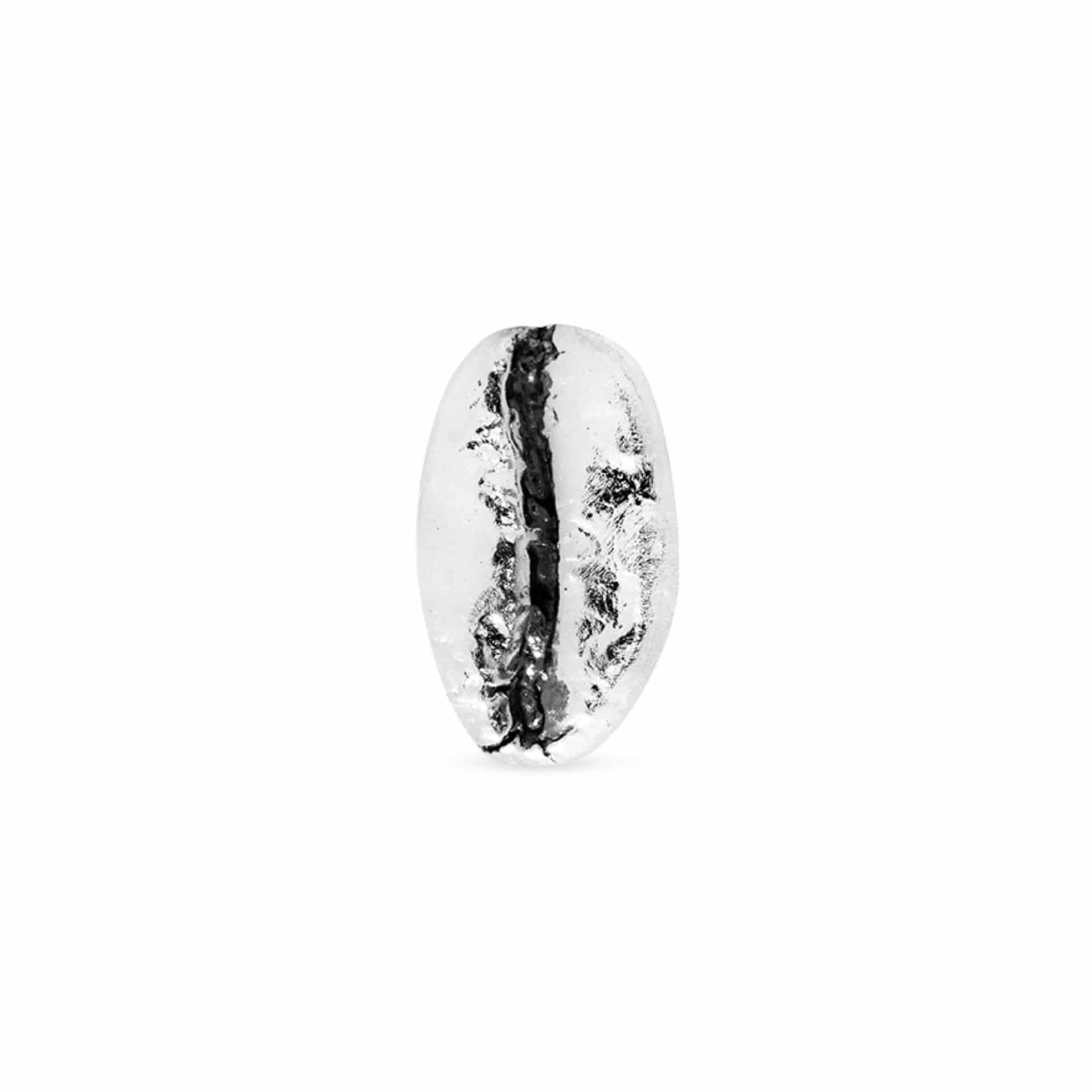 Pin Café Gesha en plata envejecida - miniatura 1