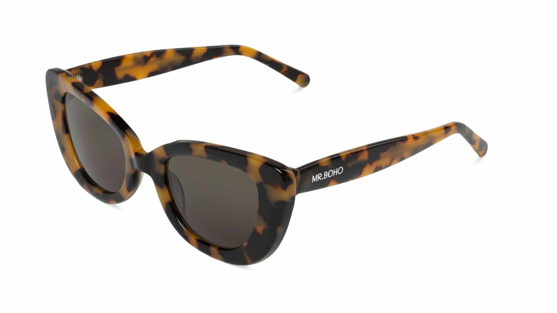 HC TORTOISE CAPARICA  WITH CLASSICAL LENSES - miniatura 2