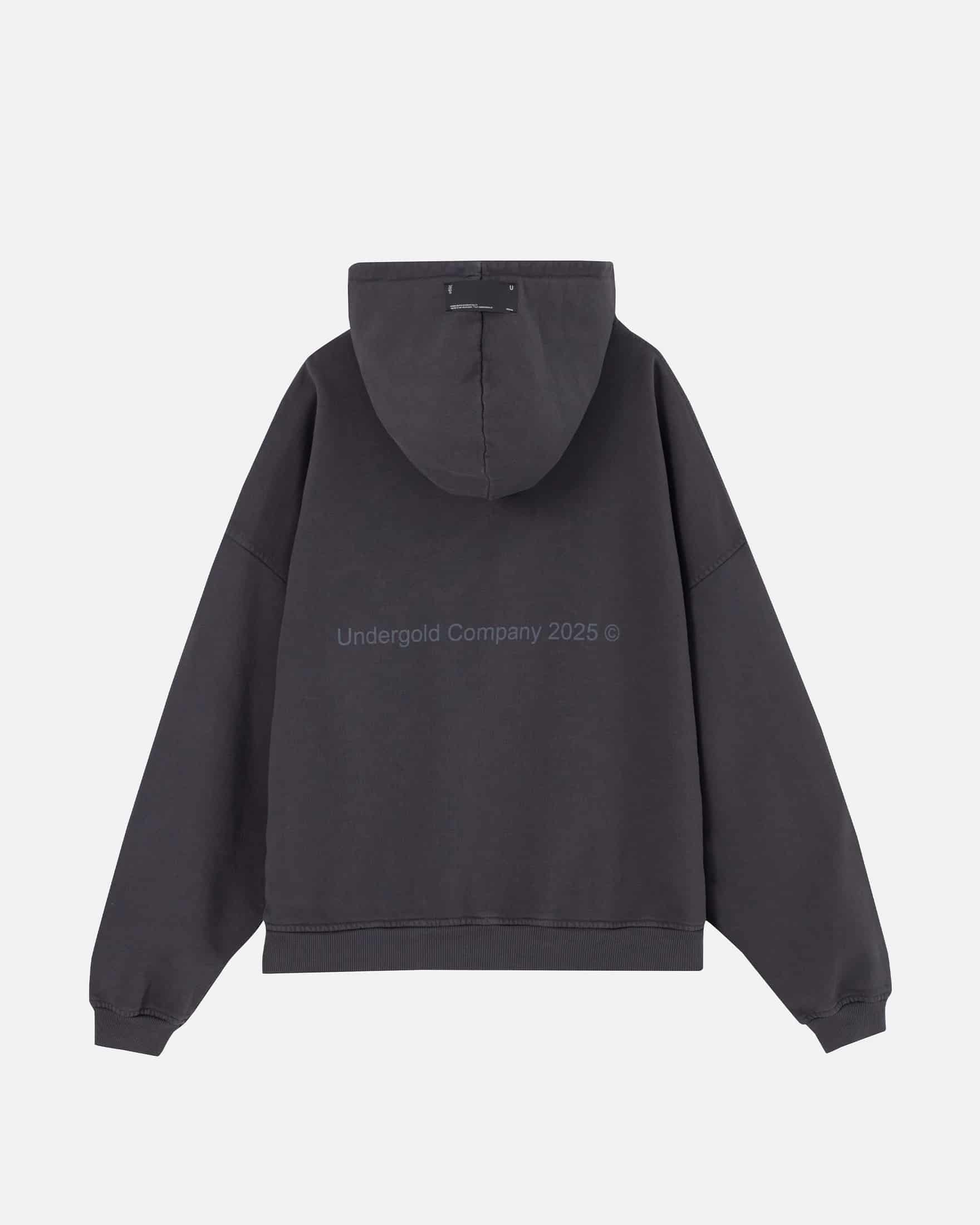 Stardust Symbol Hoodie Vintage Gray - miniatura 4
