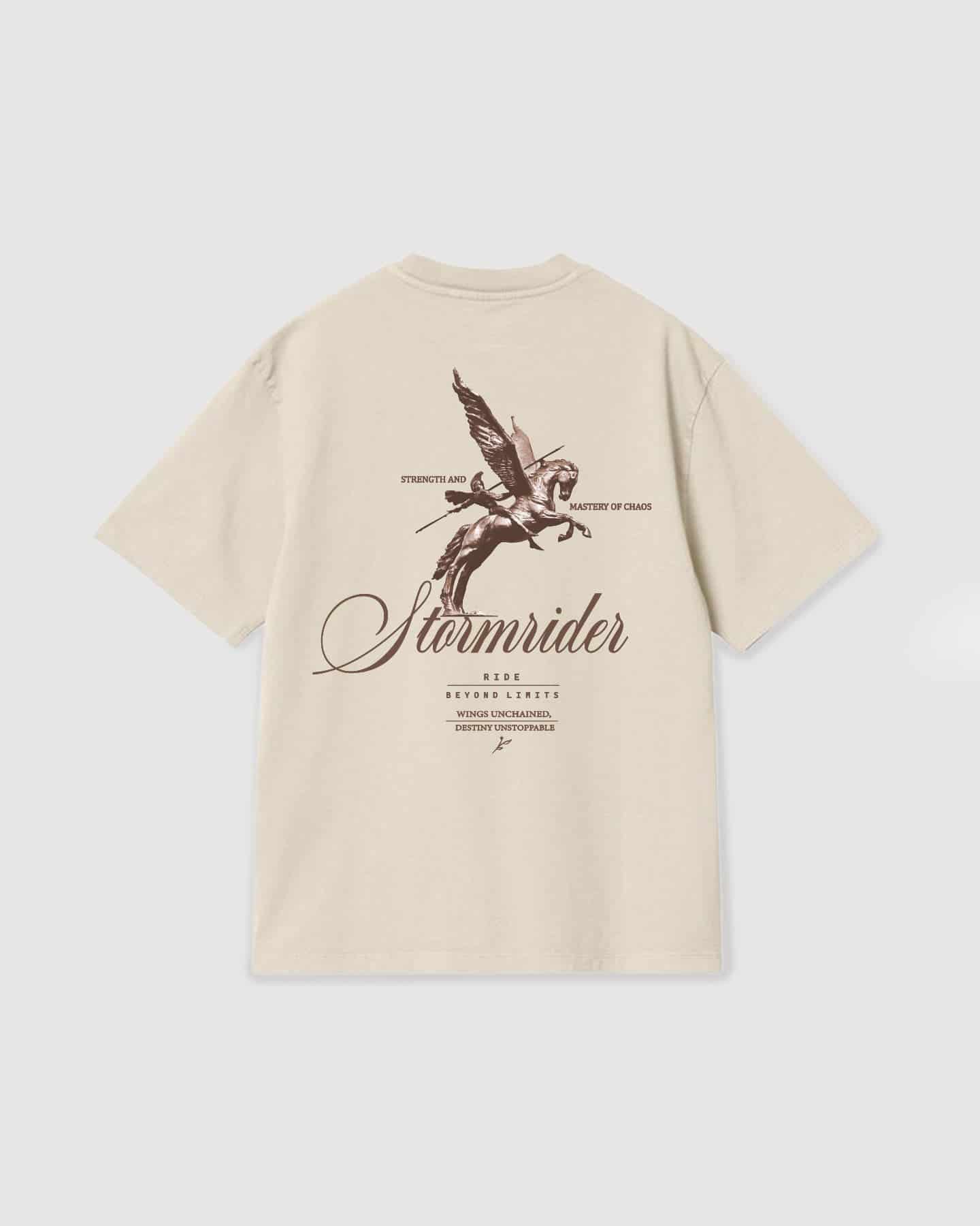 Oversized T Shirt Stormrider Vanilla - miniatura 1