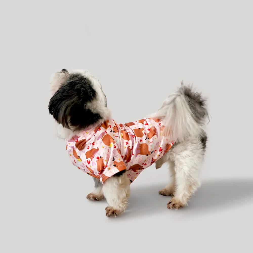 Pijama Estampada Perrito. - miniatura 2