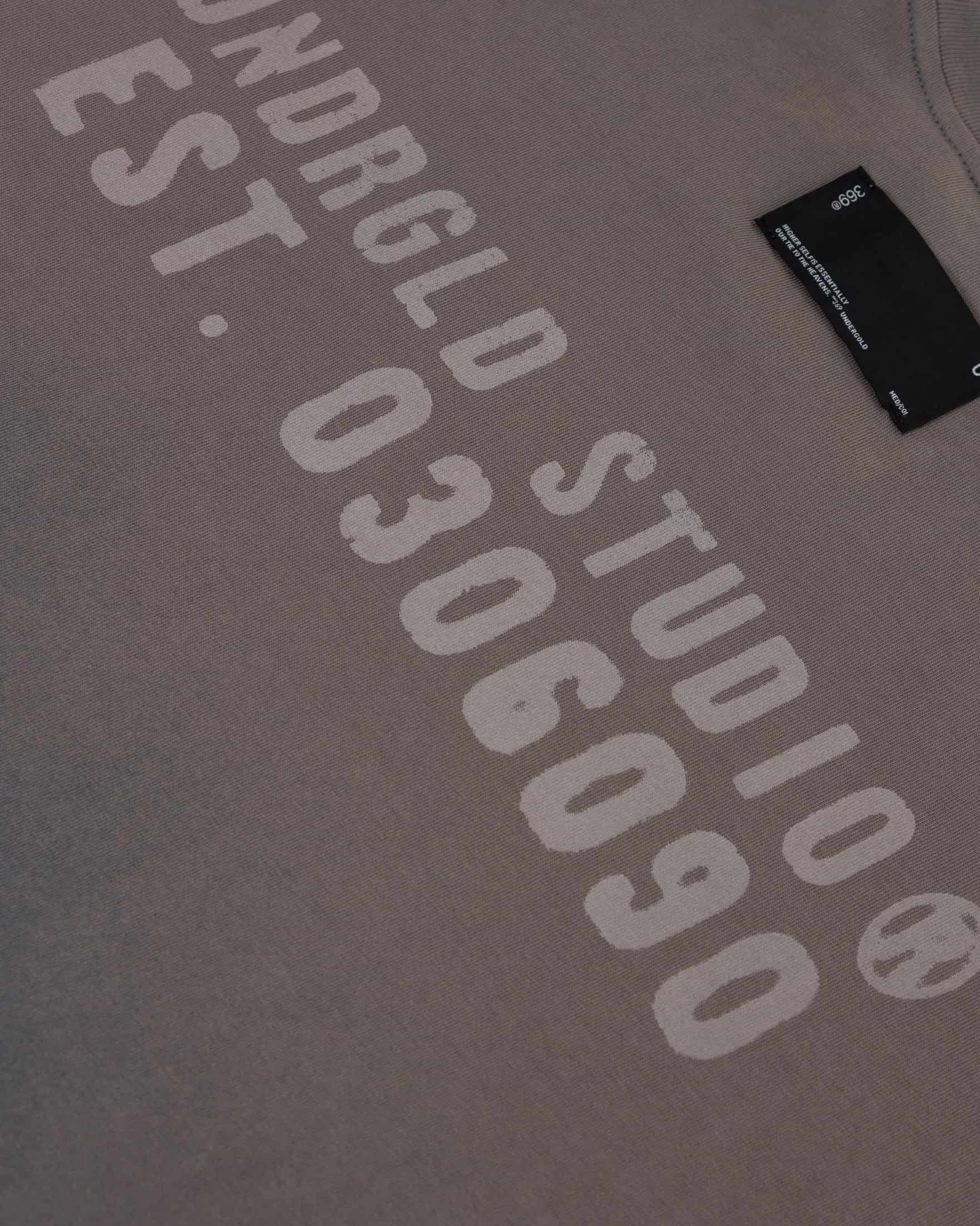 Spring Worn Logo Tshirt Sandblast Gray - miniatura 4