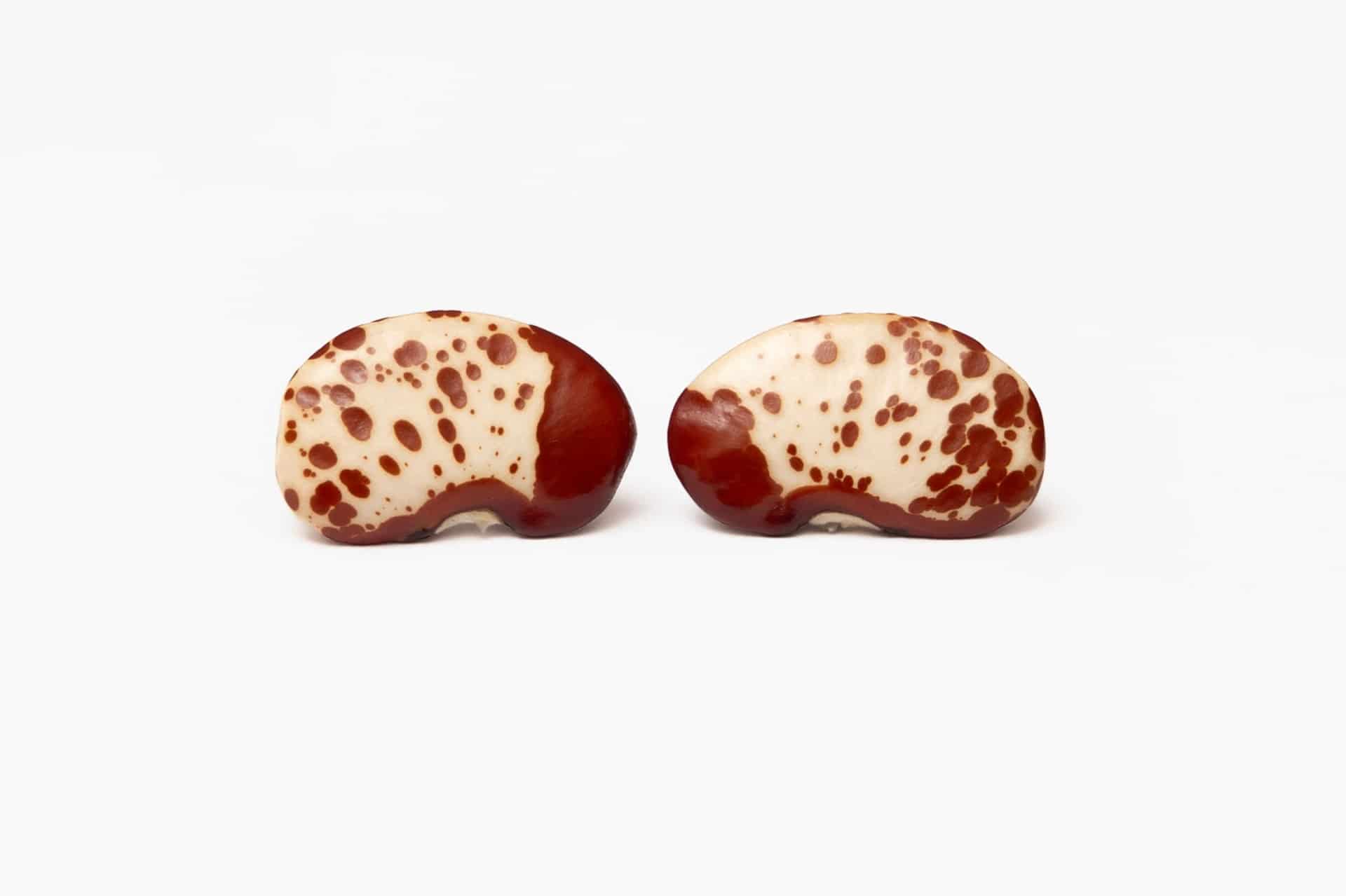 Topo Fríjol Dálmata Rojo - miniatura 2