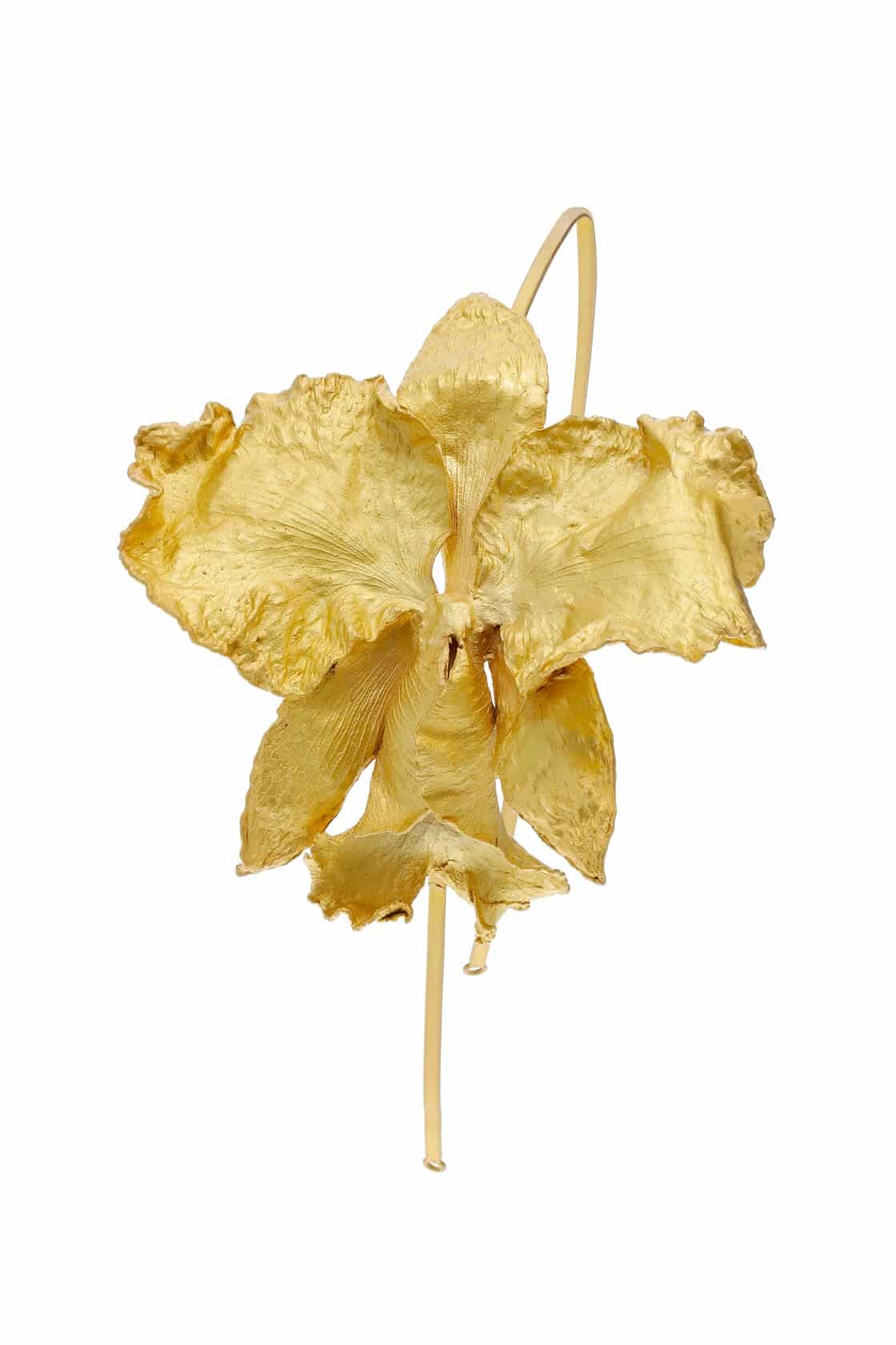 CATTLEYA TIARA - miniatura 1