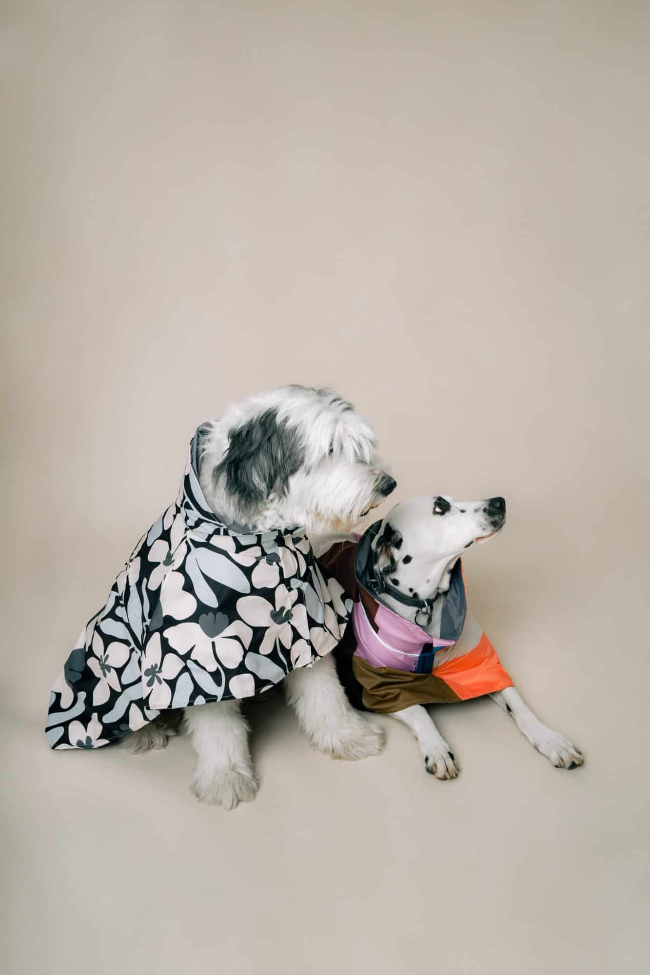 DOG´S RAINCOAT URBAN SPLASH - miniatura 4