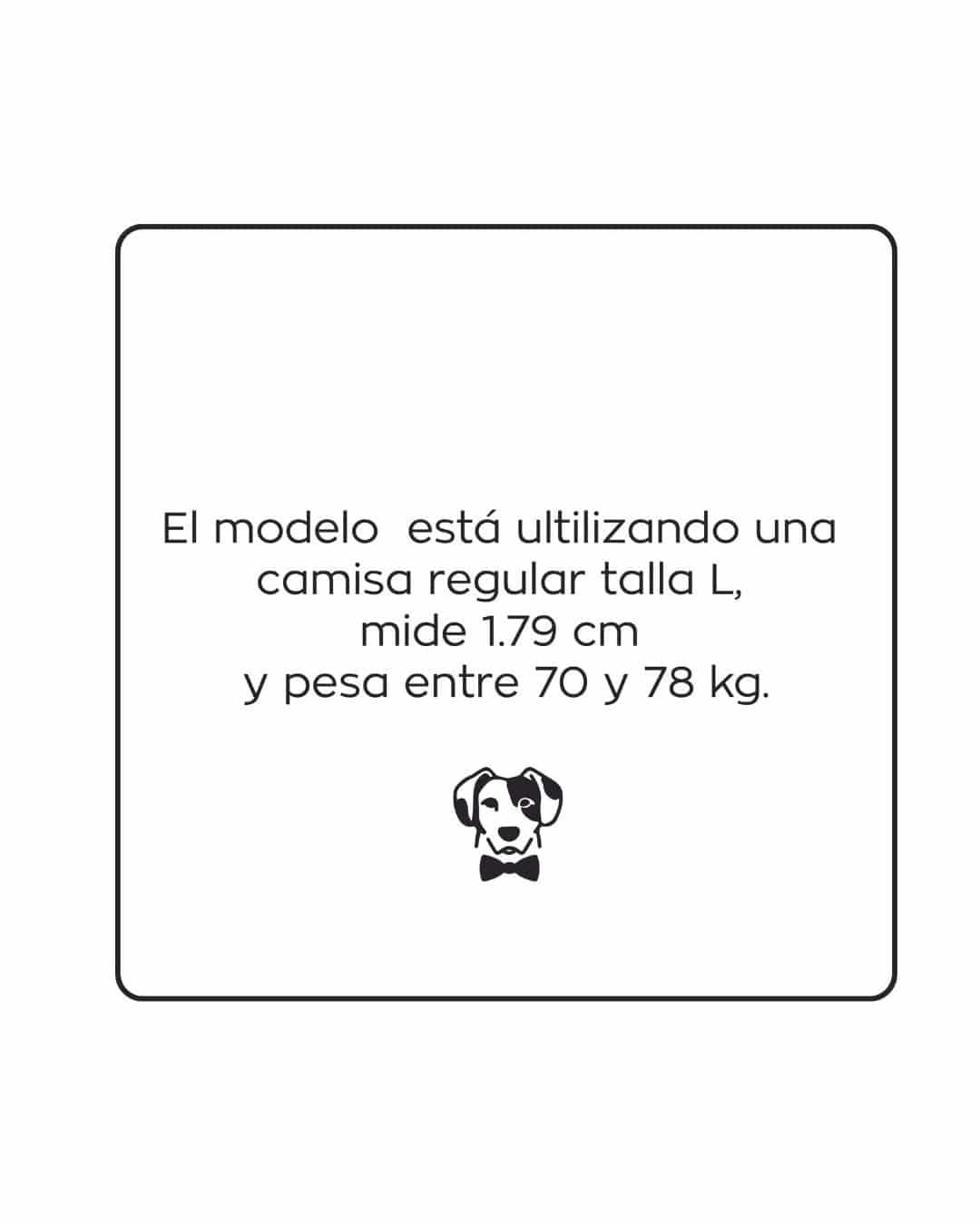 Camisa Antimanchas Oxford Ivory - Talla Regular - miniatura 11