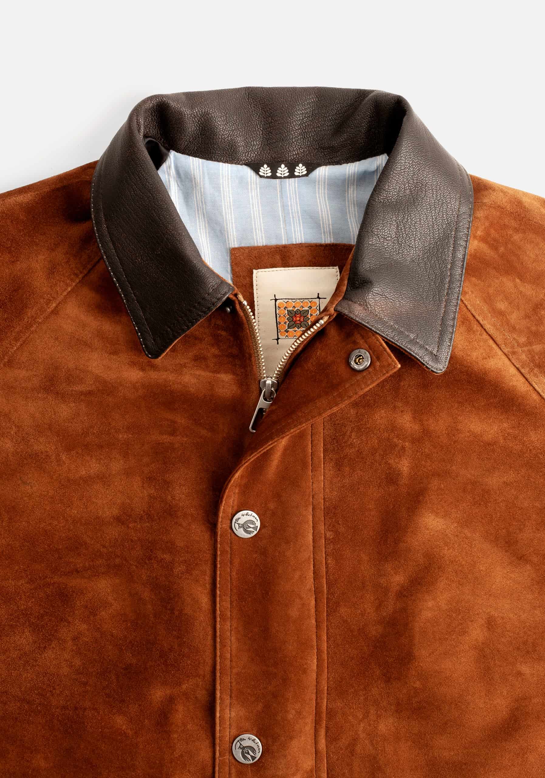 Chaqueta H Oia Gamuza Tabaco - miniatura 8