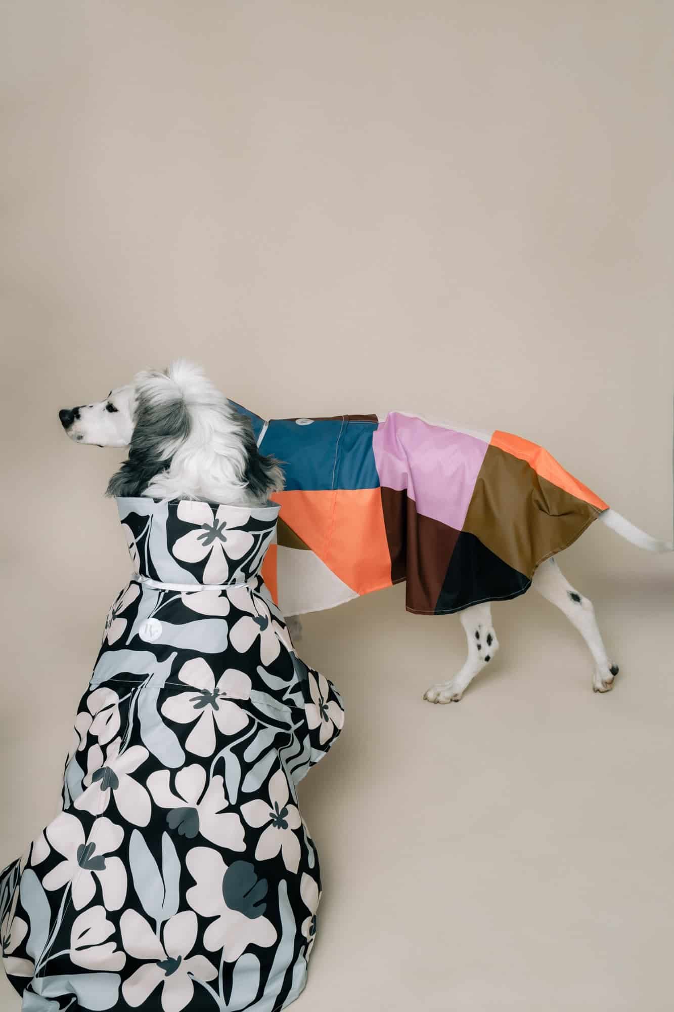 DOG´S RAINCOAT URBAN SPLASH - miniatura 5