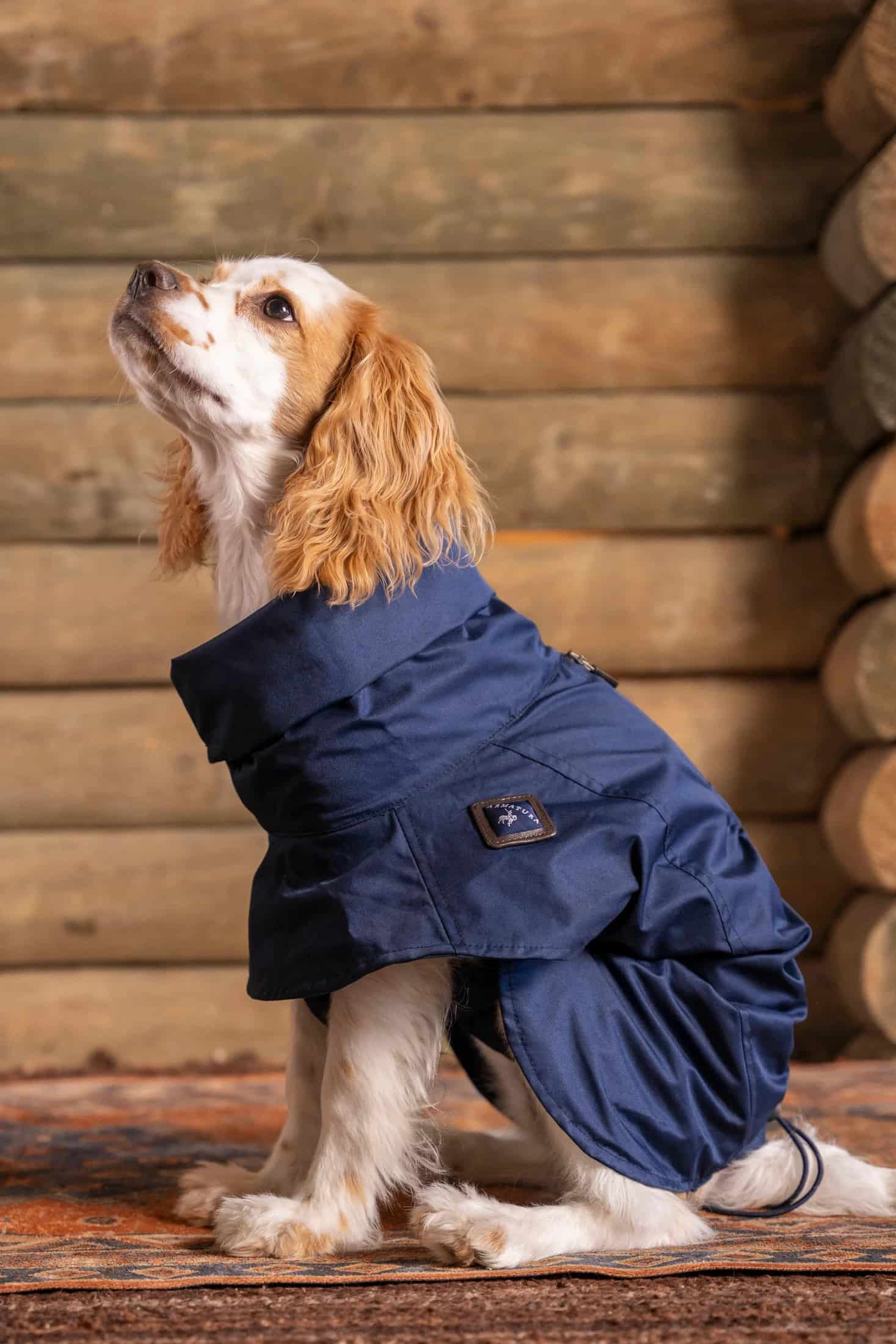 Impermeable Presidential Perro Azul Oscuro - miniatura 1