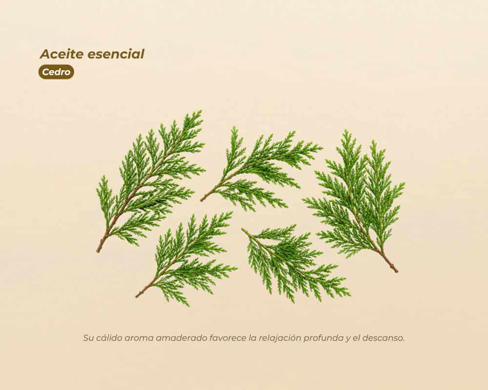 Aceites Esenciales 100% Puros para aromaterapia y bienestar - miniatura 5