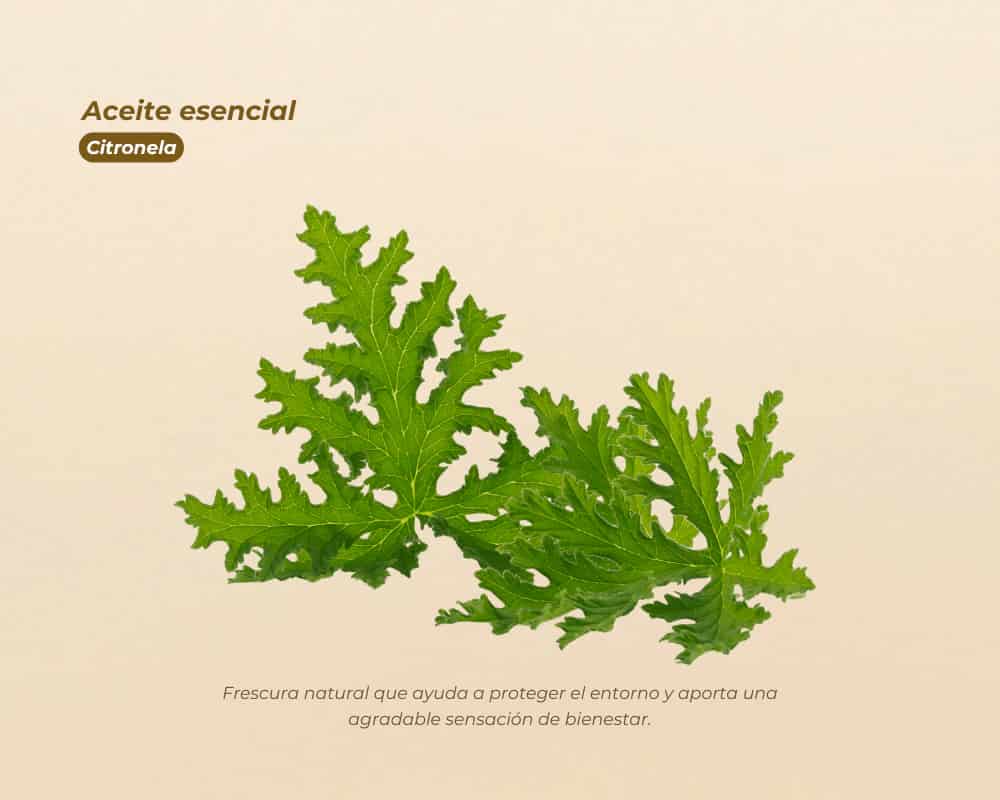 Aceites Esenciales 100% Puros para aromaterapia y bienestar - miniatura 7