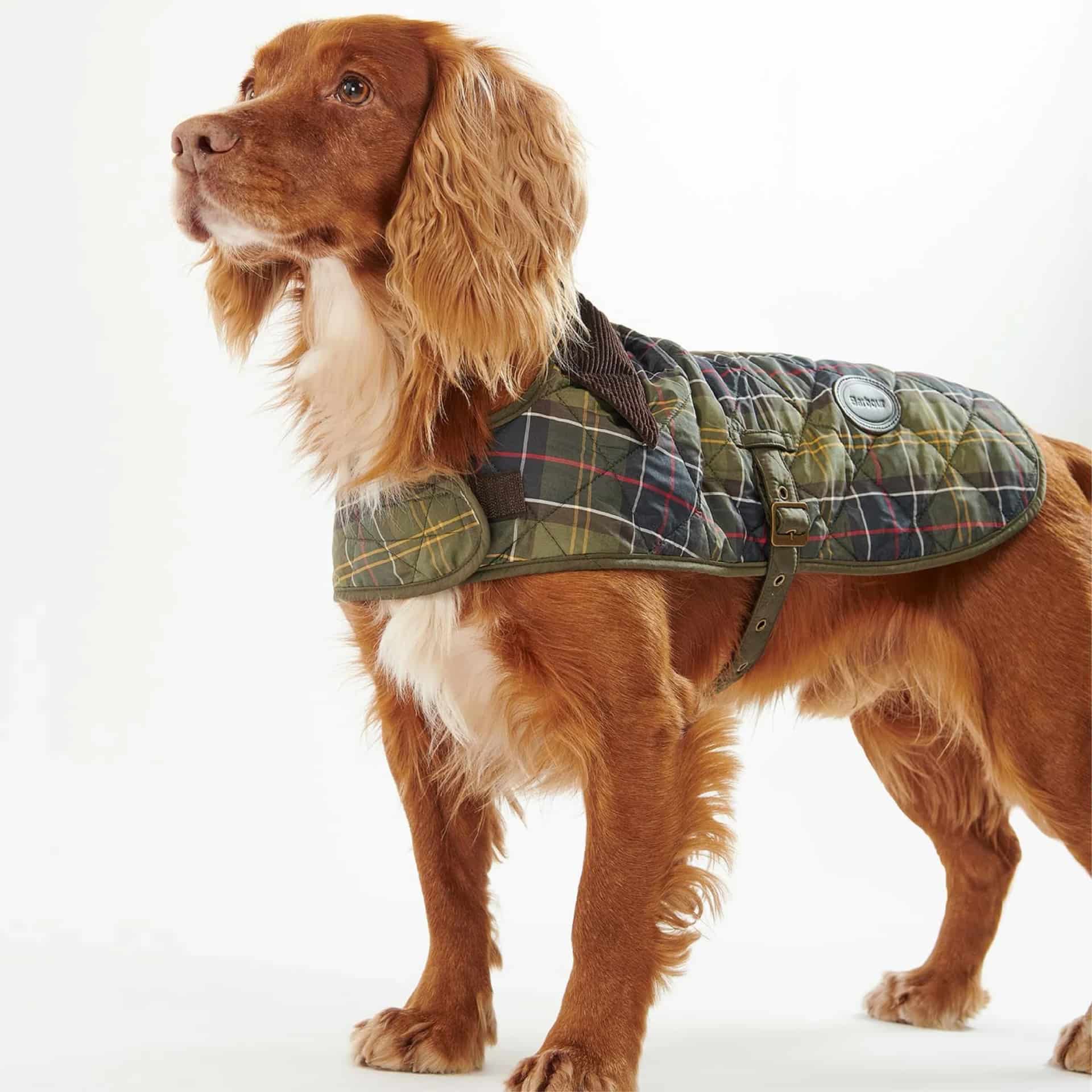 Tartan Dog Coat - miniatura 2