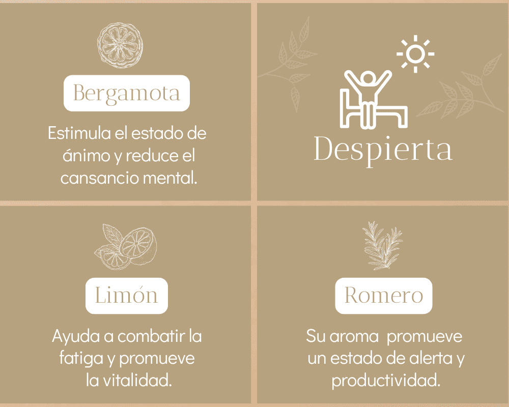 Kit Despierta - miniatura 4