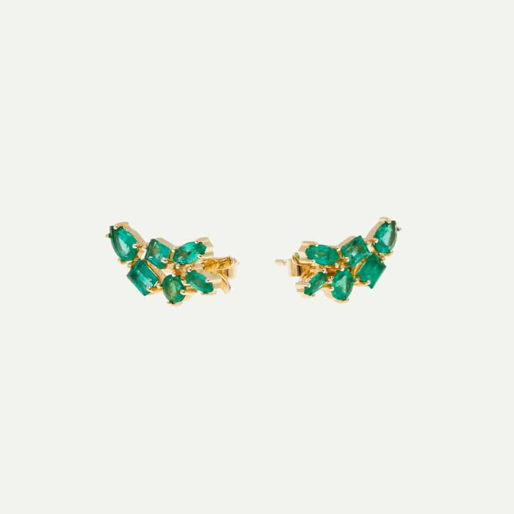 Arete Fancy crawler - miniatura 4