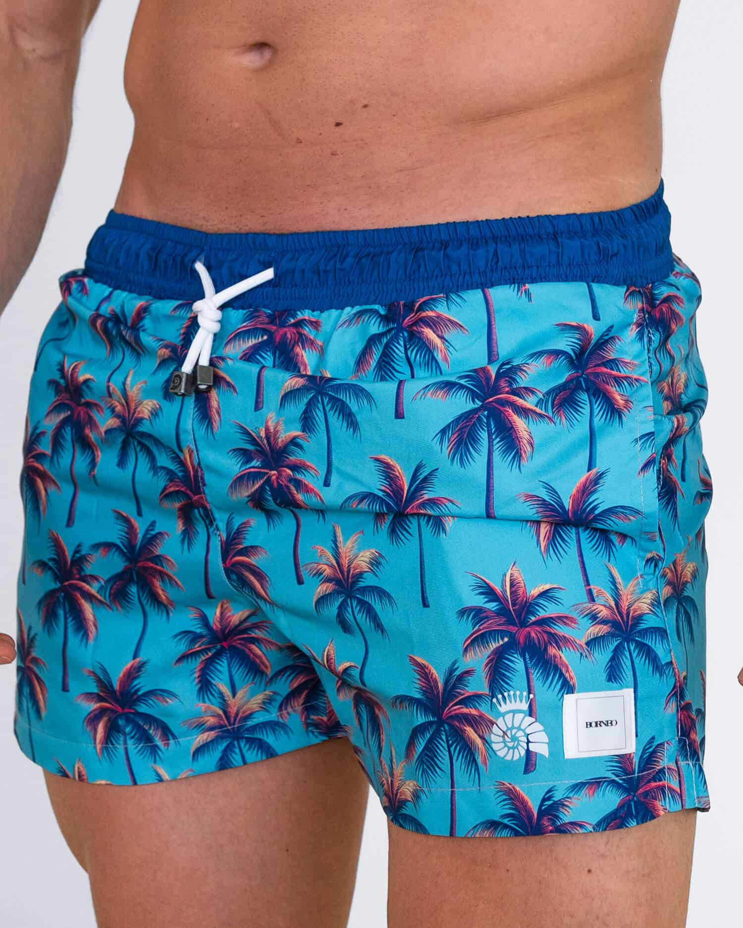 Short Palm Tree - miniatura 2