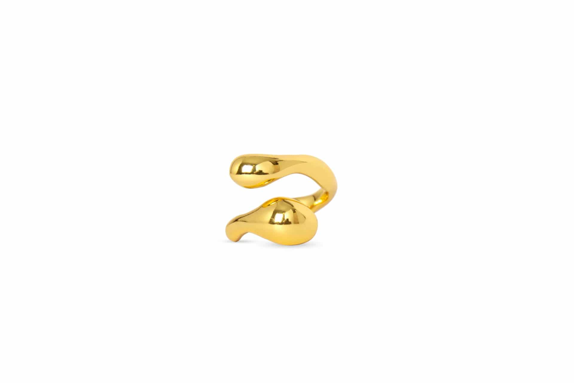 Anillo Ciclo - miniatura 1