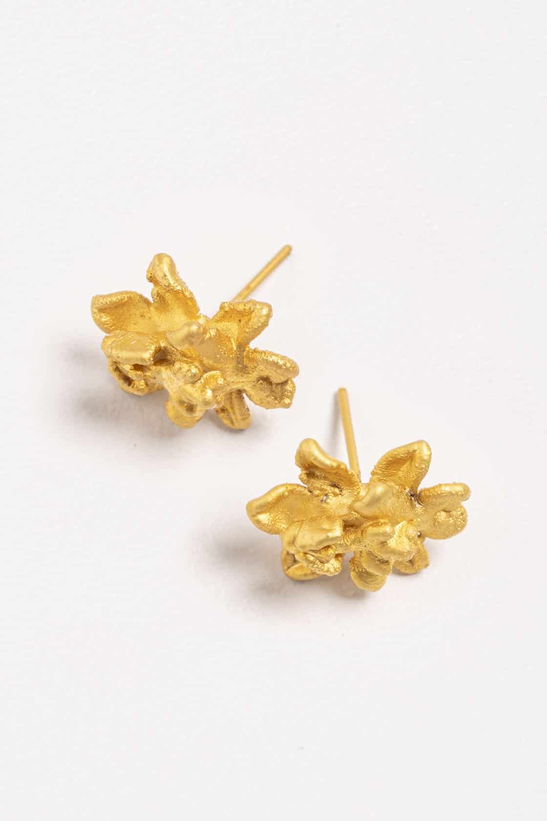 SIGMATOXTALIS STUDS - miniatura 3