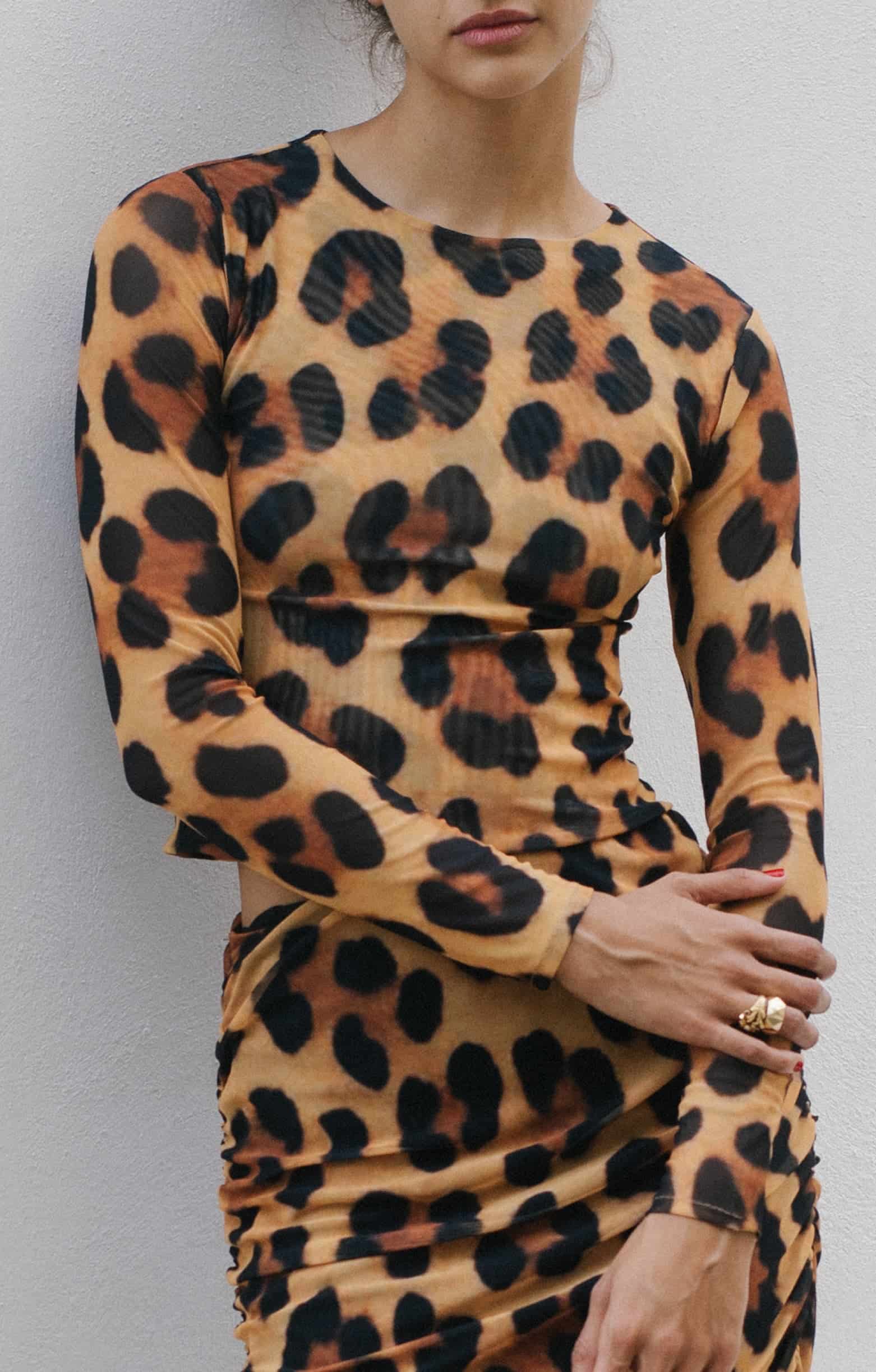 Leopardo Top - miniatura 3