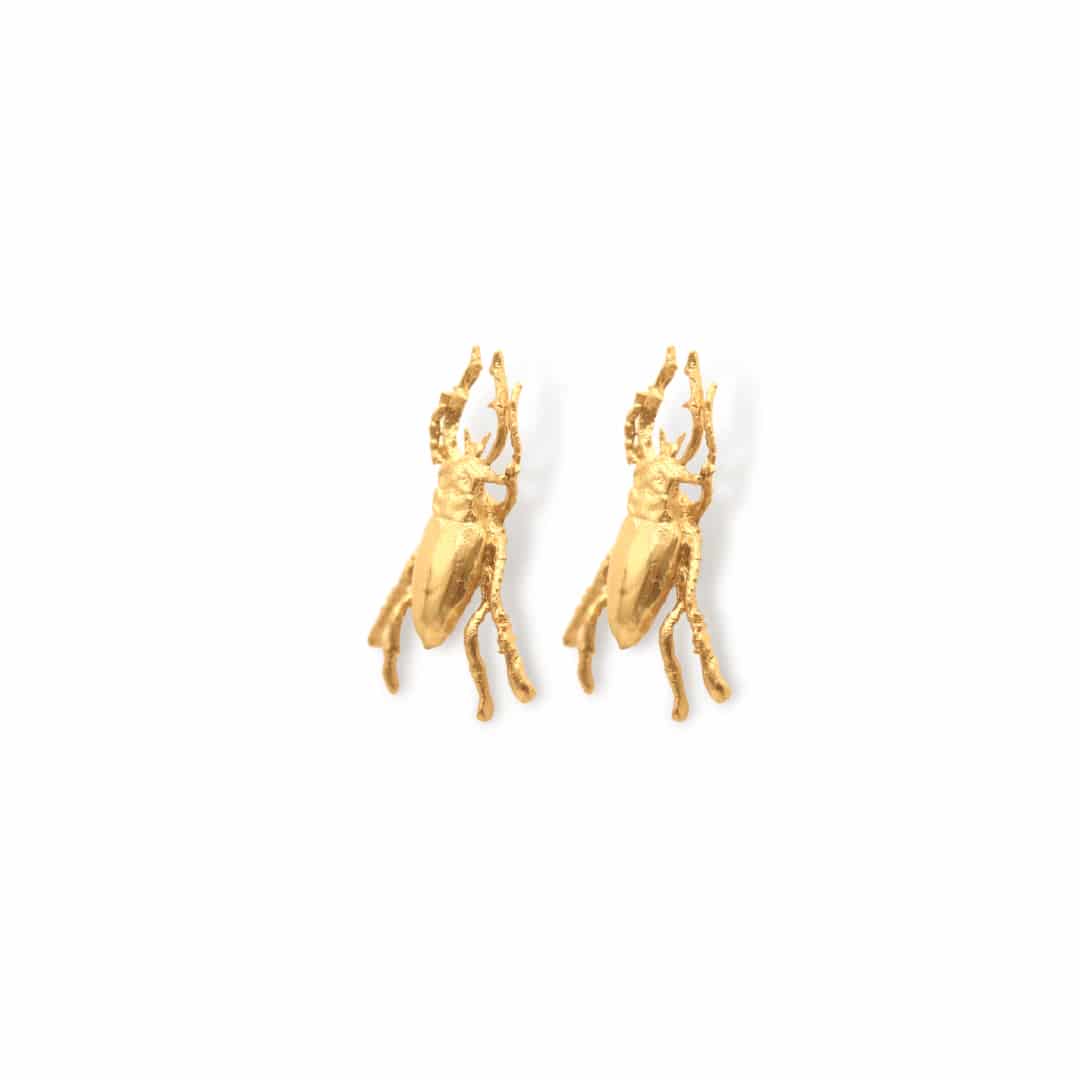 Aretes de escarabajo - miniatura 2