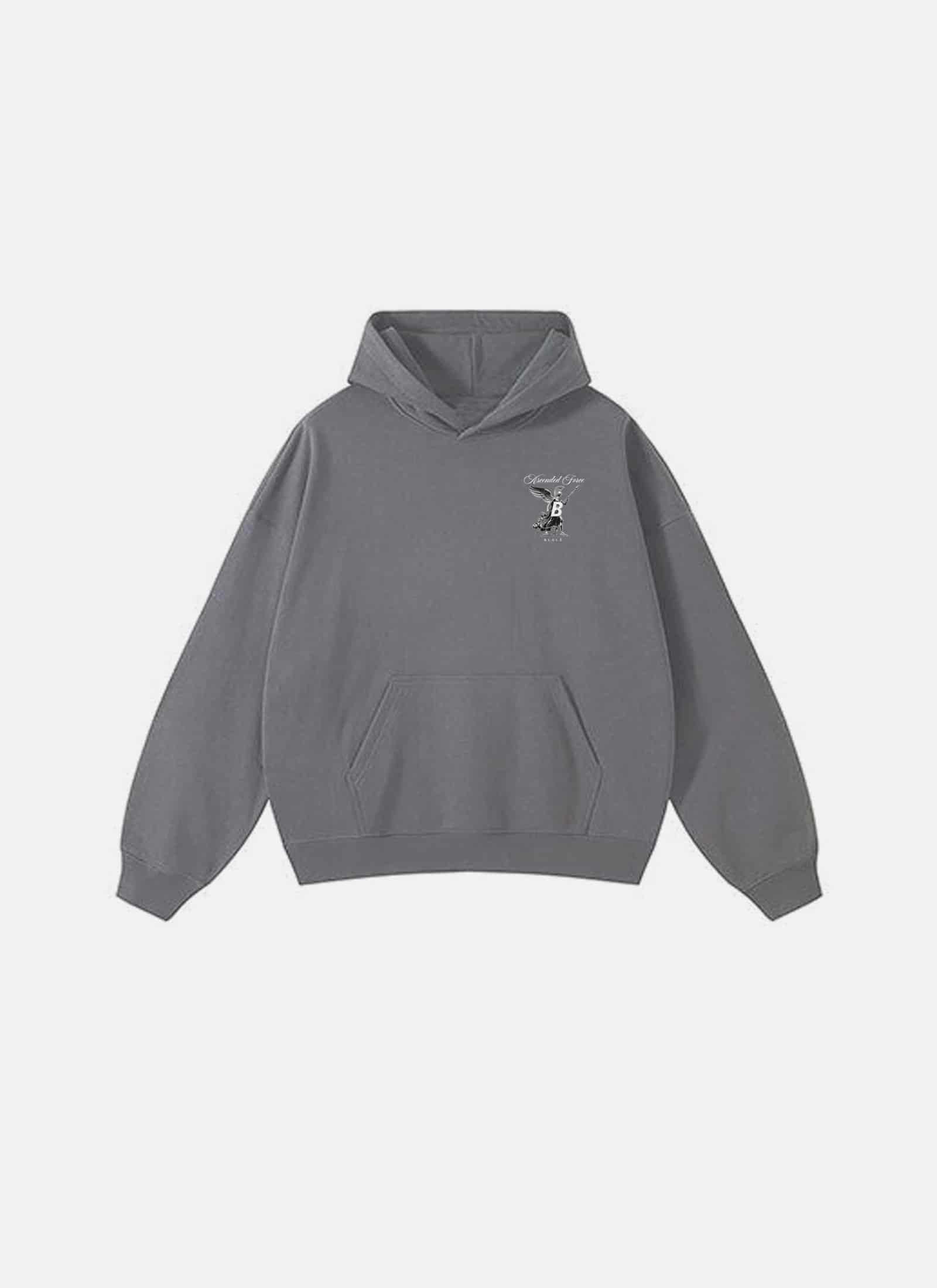Ascended Force Hoodie Grey - miniatura 2