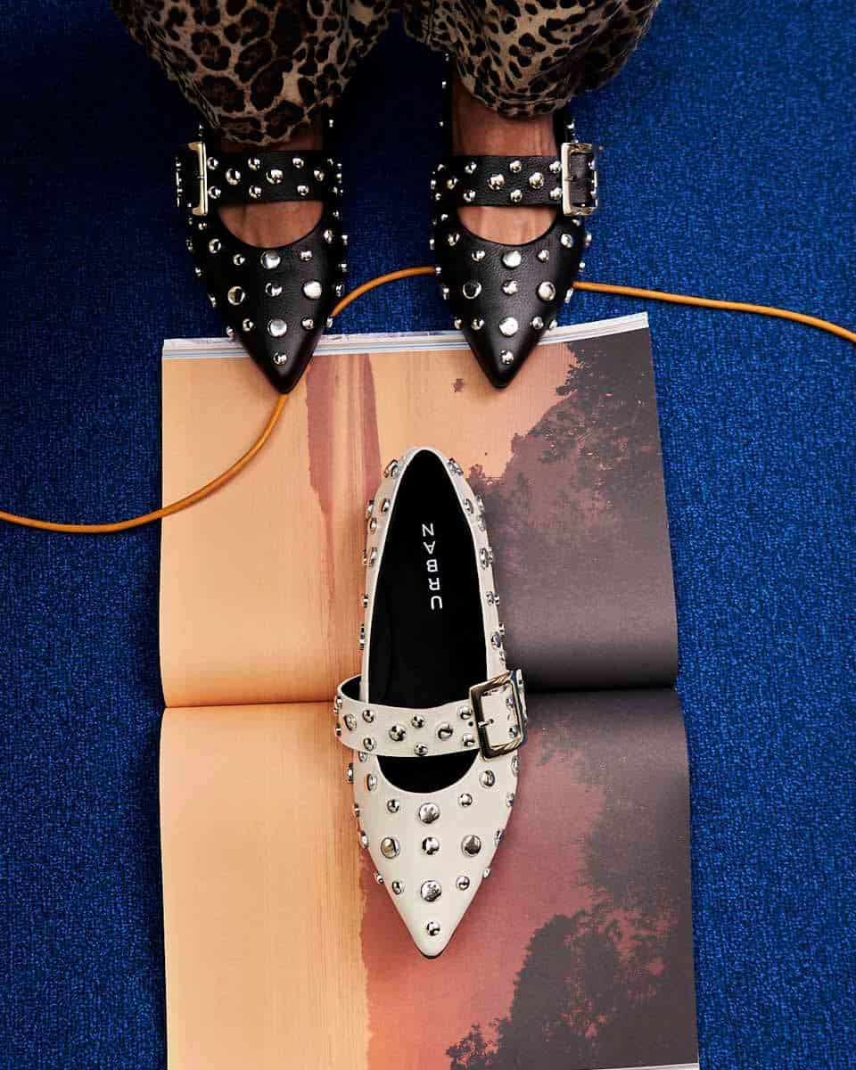 POINTER FLATS BLACK - miniatura 3